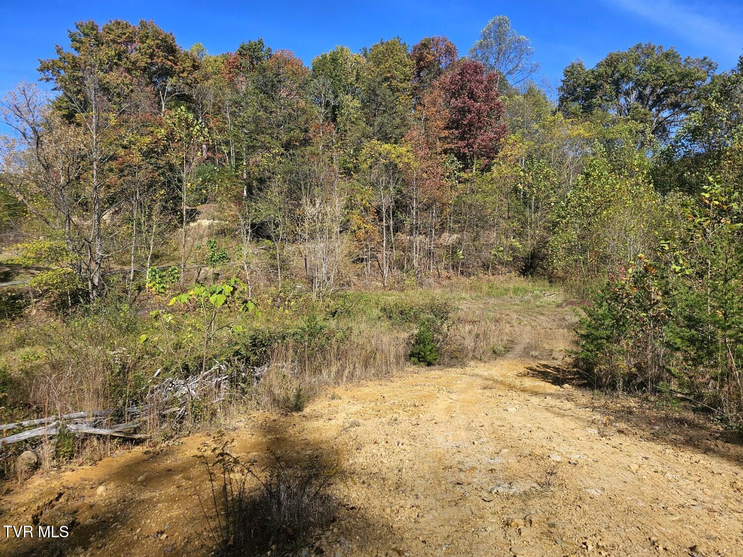 Tbd Blaine White Road Erwin, TN 37650 - Photo 5 of 17 Attach0 (6) - Copy