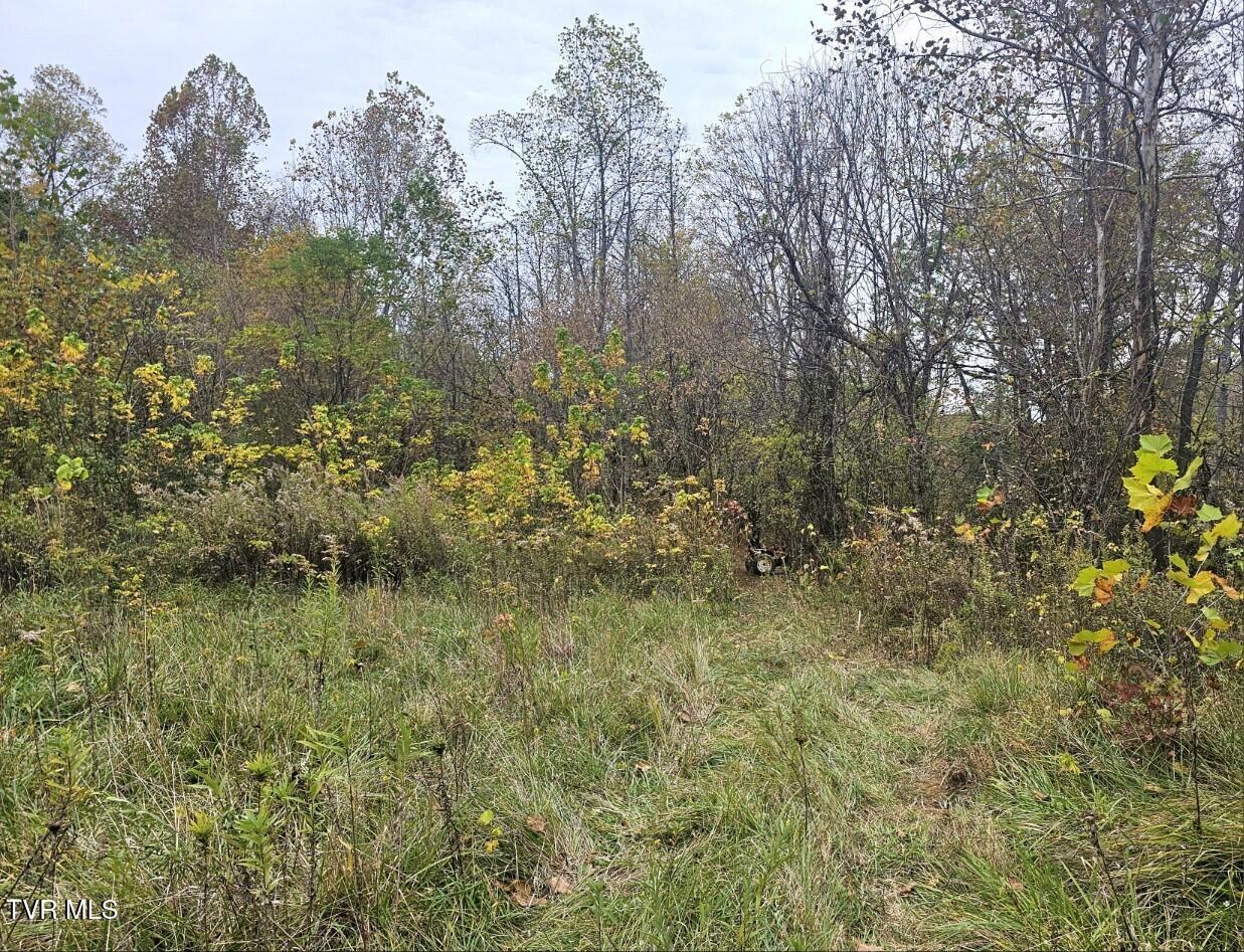 Tbd Blaine White Road Erwin, TN 37650 - Photo 7 of 17 Attach1