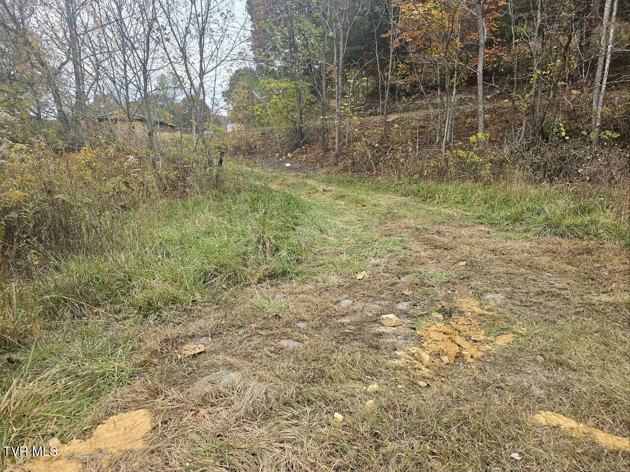 Tbd Blaine White Road Erwin, TN 37650 - Photo 8 of 17 Attach0 (3)