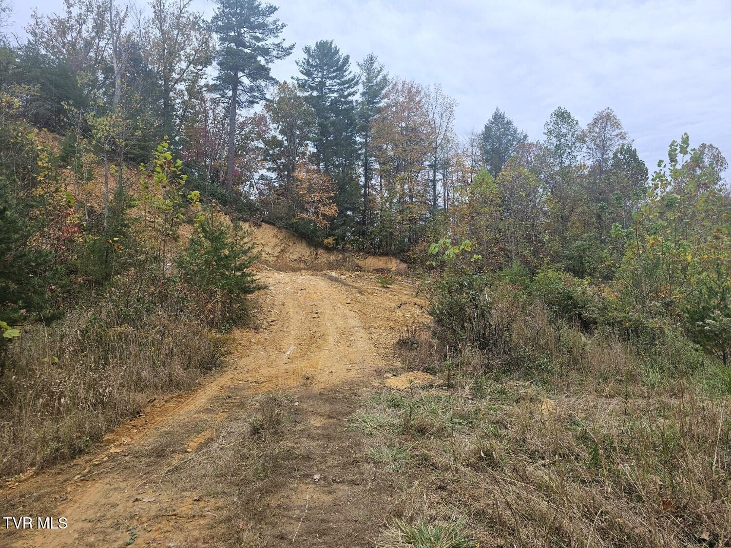 Tbd Blaine White Road Erwin, TN 37650 - Photo 10 of 17 Attach0 (1)
