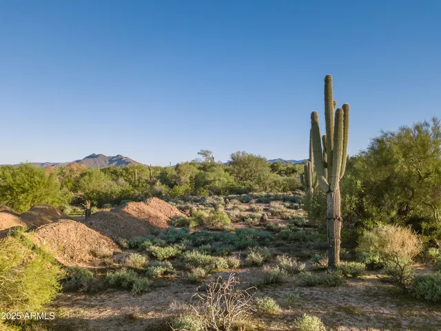 a view of a city with tall trees