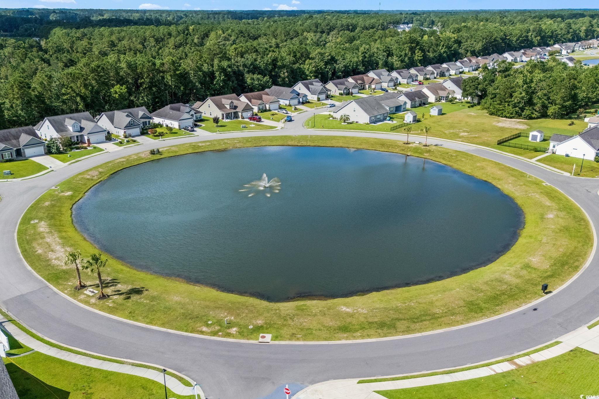 1050 Kennington Court Conway, SC 29526 - Photo 39 of 40