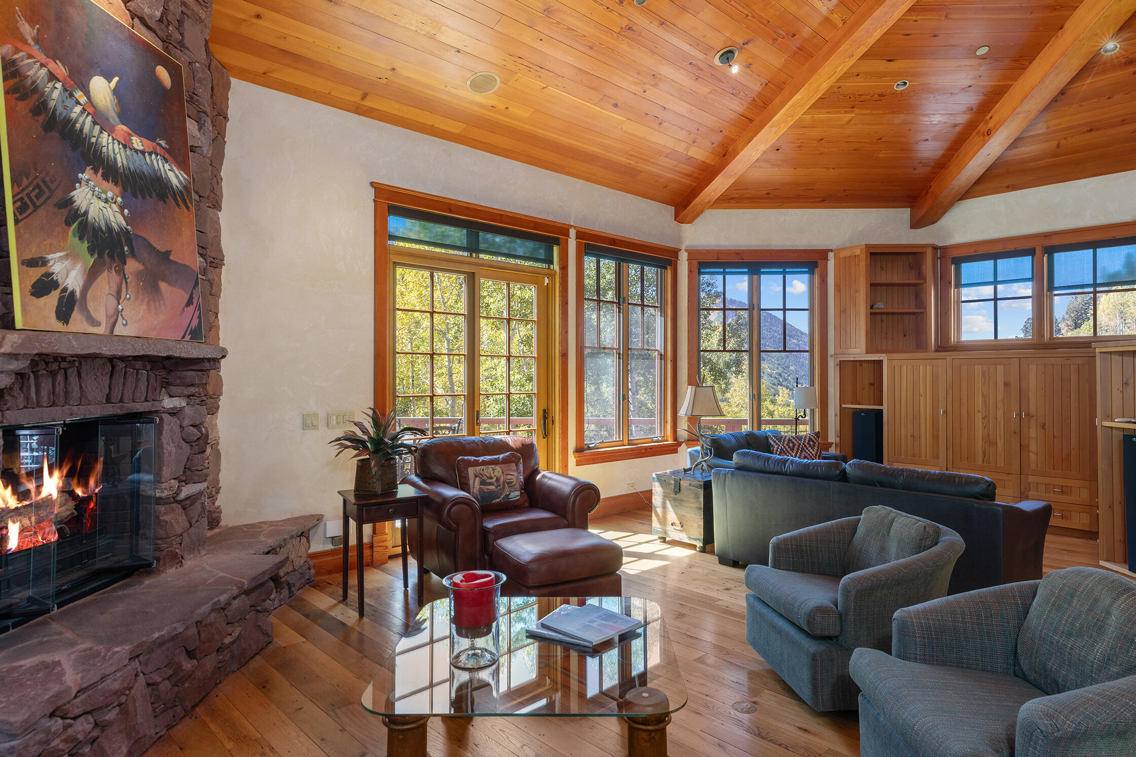 21 Royer Lane Telluride, CO 81435 - Photo 14 of 47 Living