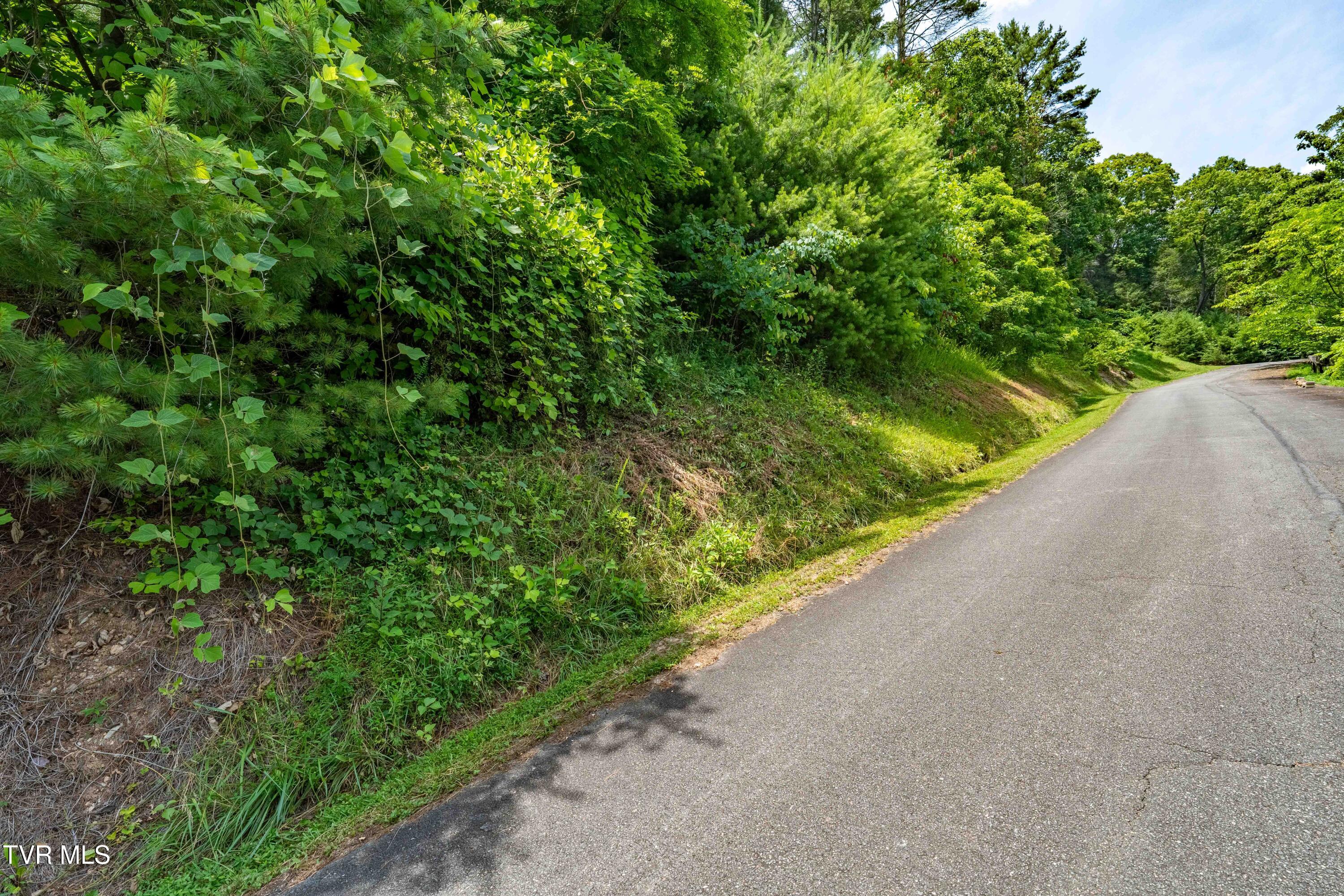 Lot 1 Lakeridge Drive, Unit 1 Butler, TN 37640 - Photo 19 of 24 Lot 1 (19 of 23)