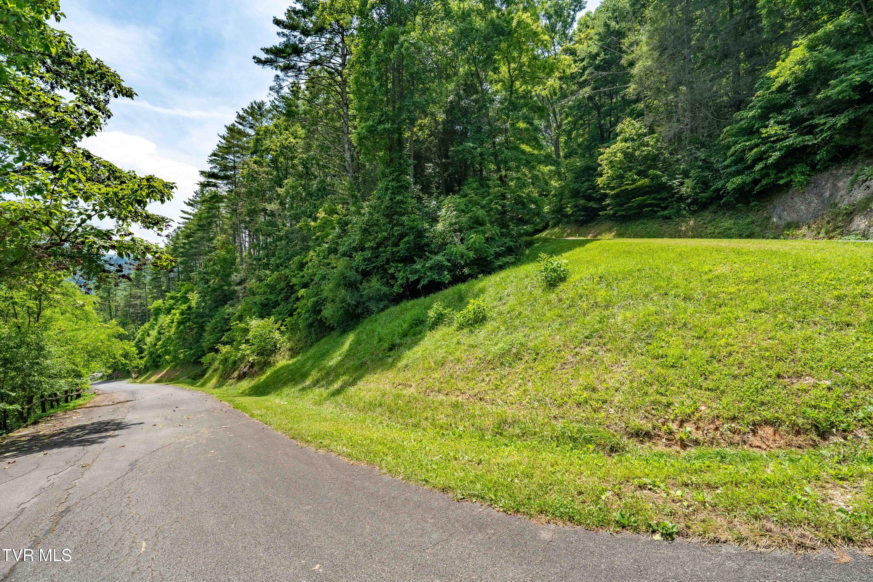 Lot 1 Lakeridge Drive, Unit 1 Butler, TN 37640 - Photo 20 of 24 Lot 1 (20 of 23)