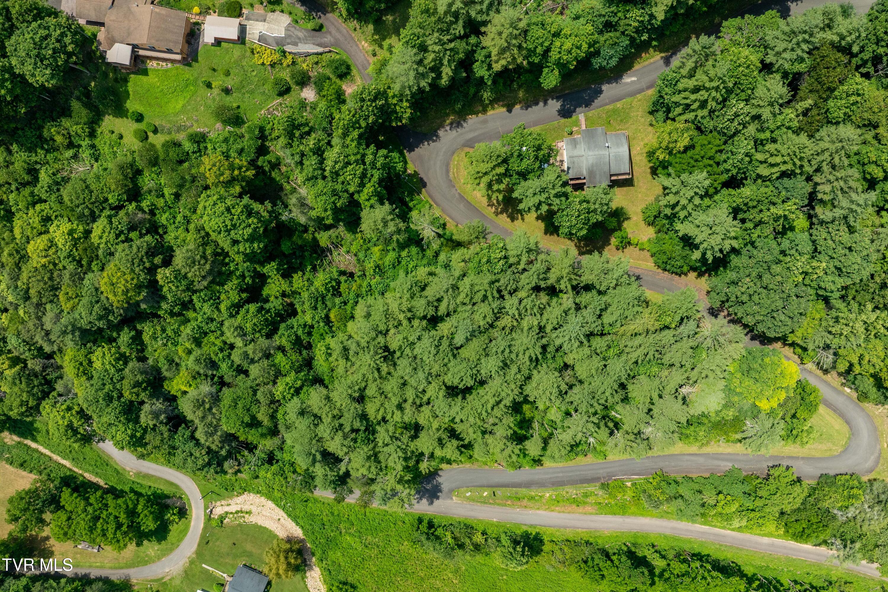 Lot 1 Lakeridge Drive, Unit 1 Butler, TN 37640 - Photo 2 of 24 Lot 1 (2 of 23)