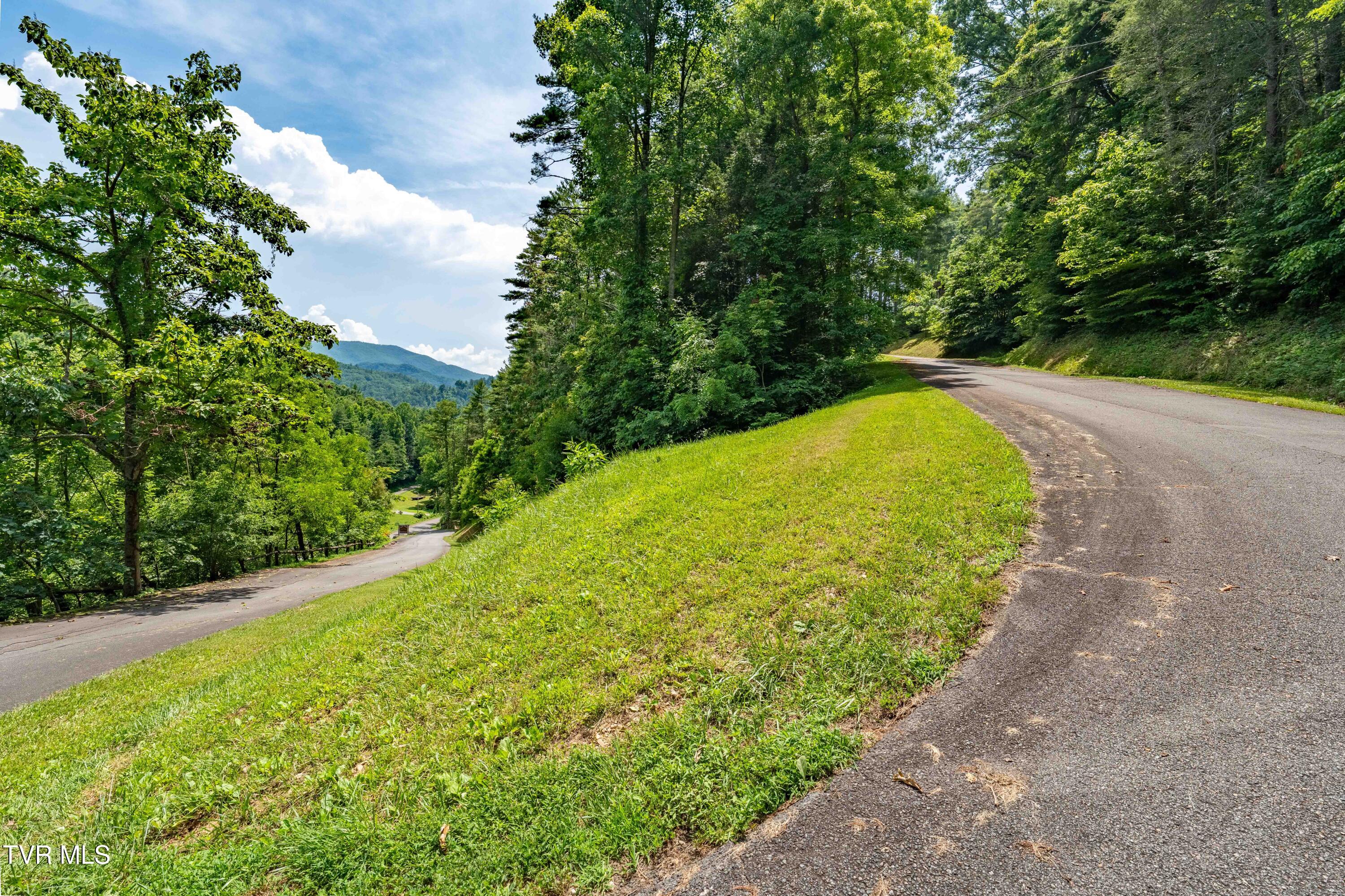 Lot 1 Lakeridge Drive, Unit 1 Butler, TN 37640 - Photo 21 of 24 Lot 1 (21 of 23)