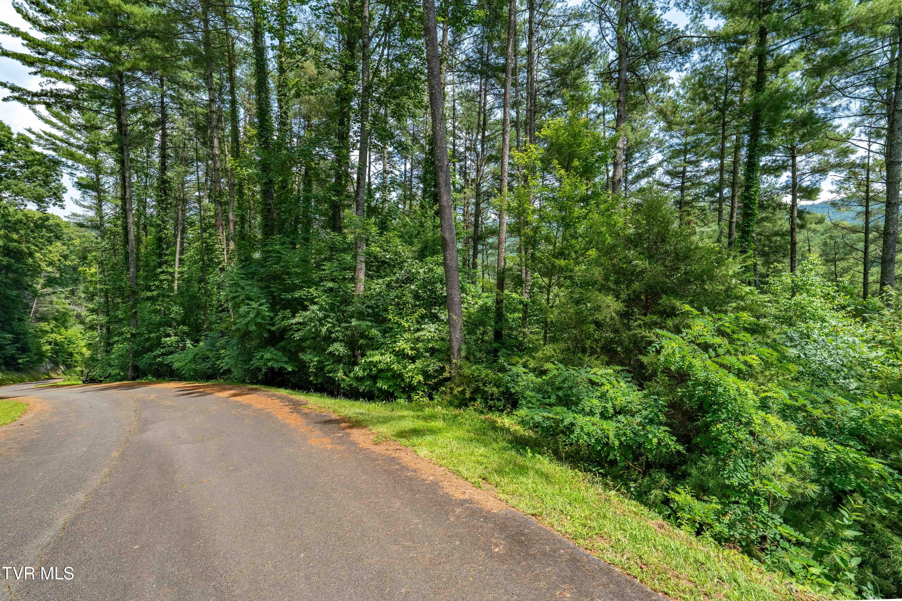 Lot 1 Lakeridge Drive, Unit 1 Butler, TN 37640 - Photo 22 of 24 Lot 1 (22 of 23)