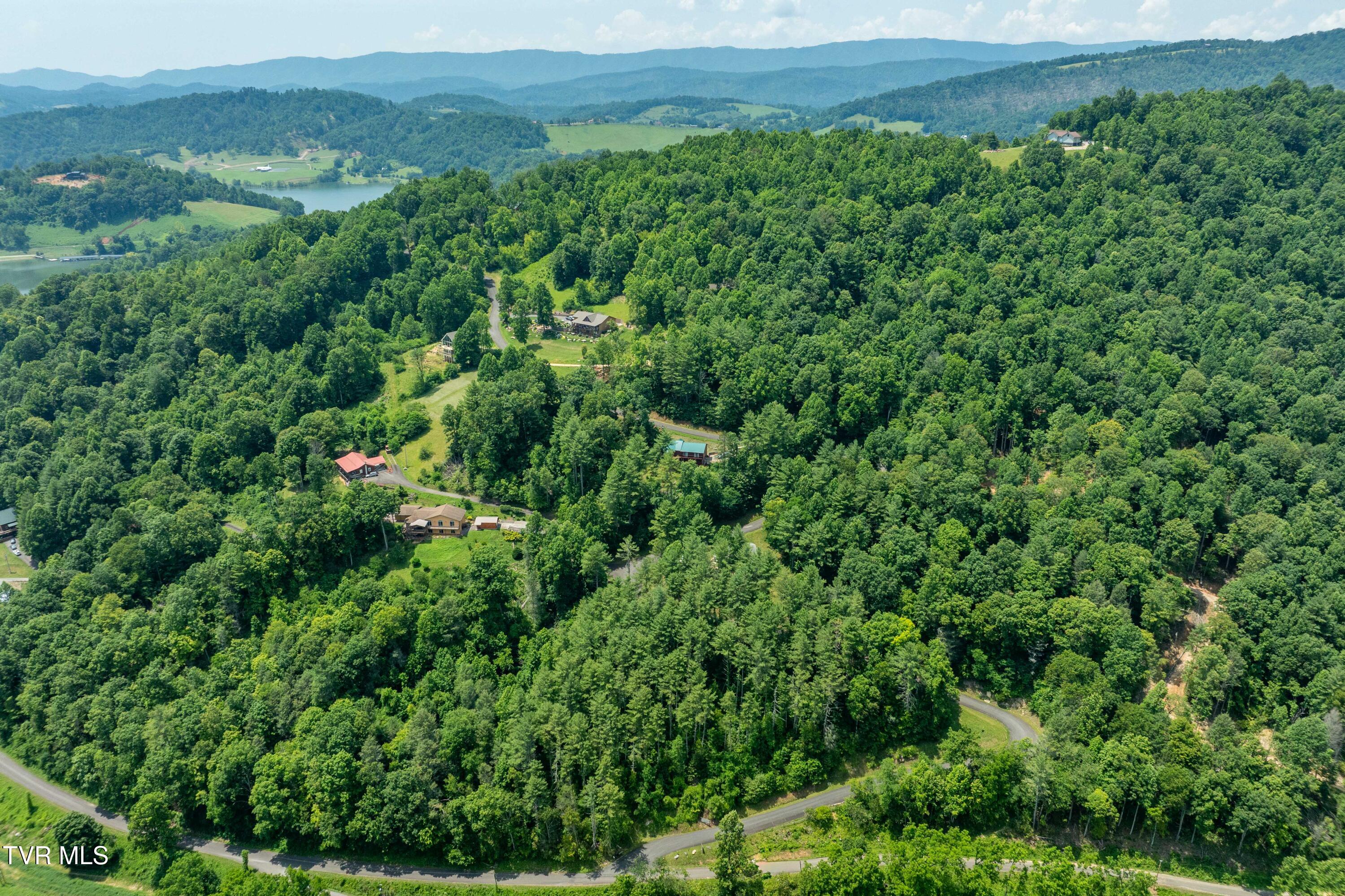 Lot 1 Lakeridge Drive, Unit 1 Butler, TN 37640 - Photo 4 of 24 Lot 1 (4 of 23)