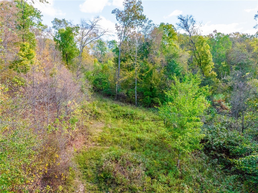 Clendening Lake Road Freeport, OH 43973 - Photo 10 of 41 View of woods