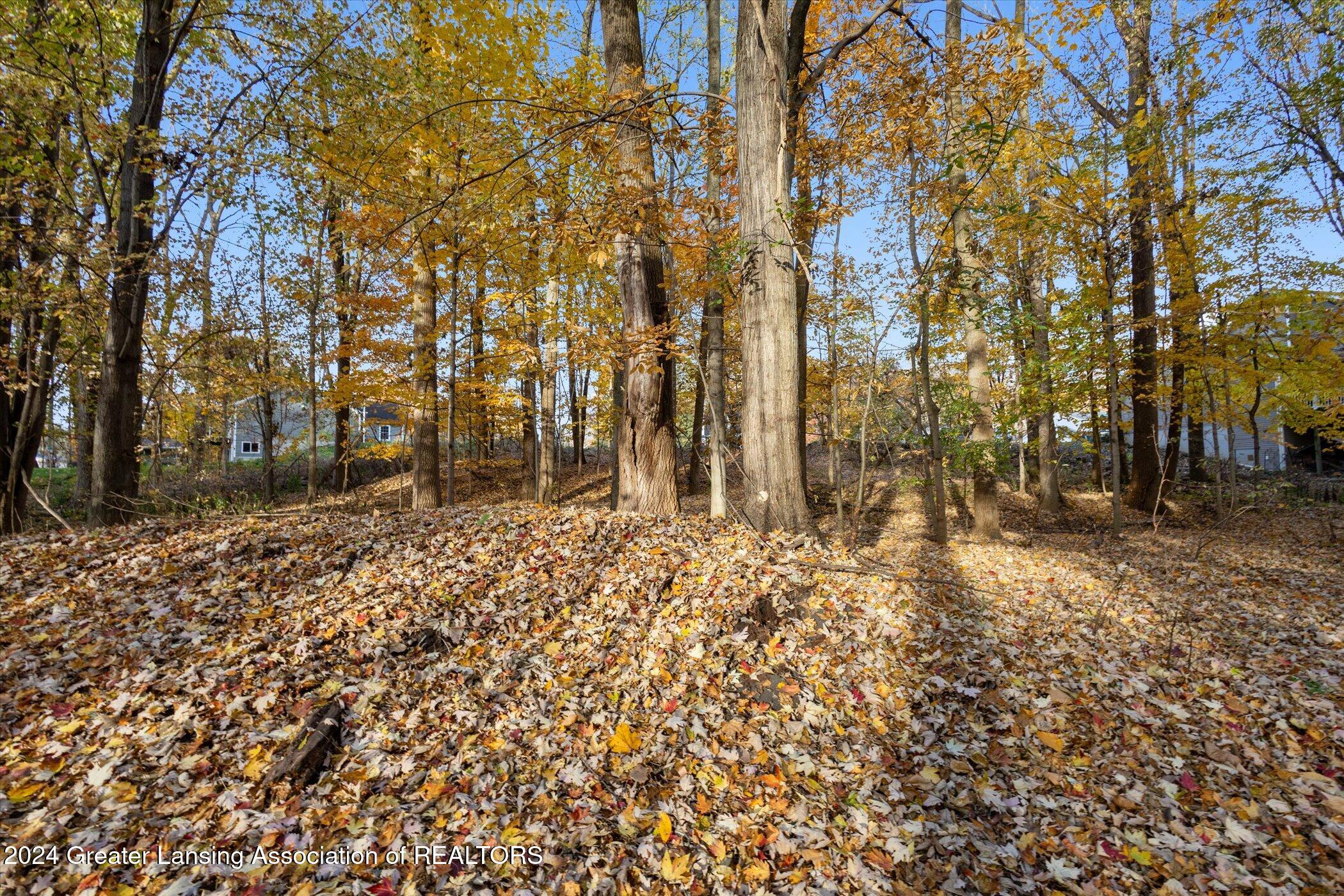 0 Williamsburg Road Lansing, MI 48917 - Photo 11 of 34 09-0-Williamsburg-Rd-Lansing-MI-48917-Wi