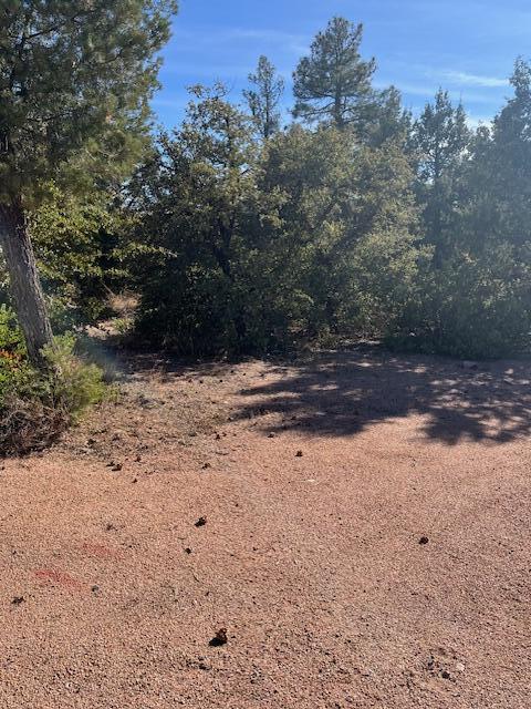 Lot 8 South Forest Ridge Court Tonto Basin, AZ 85553 - Photo 1 of 3