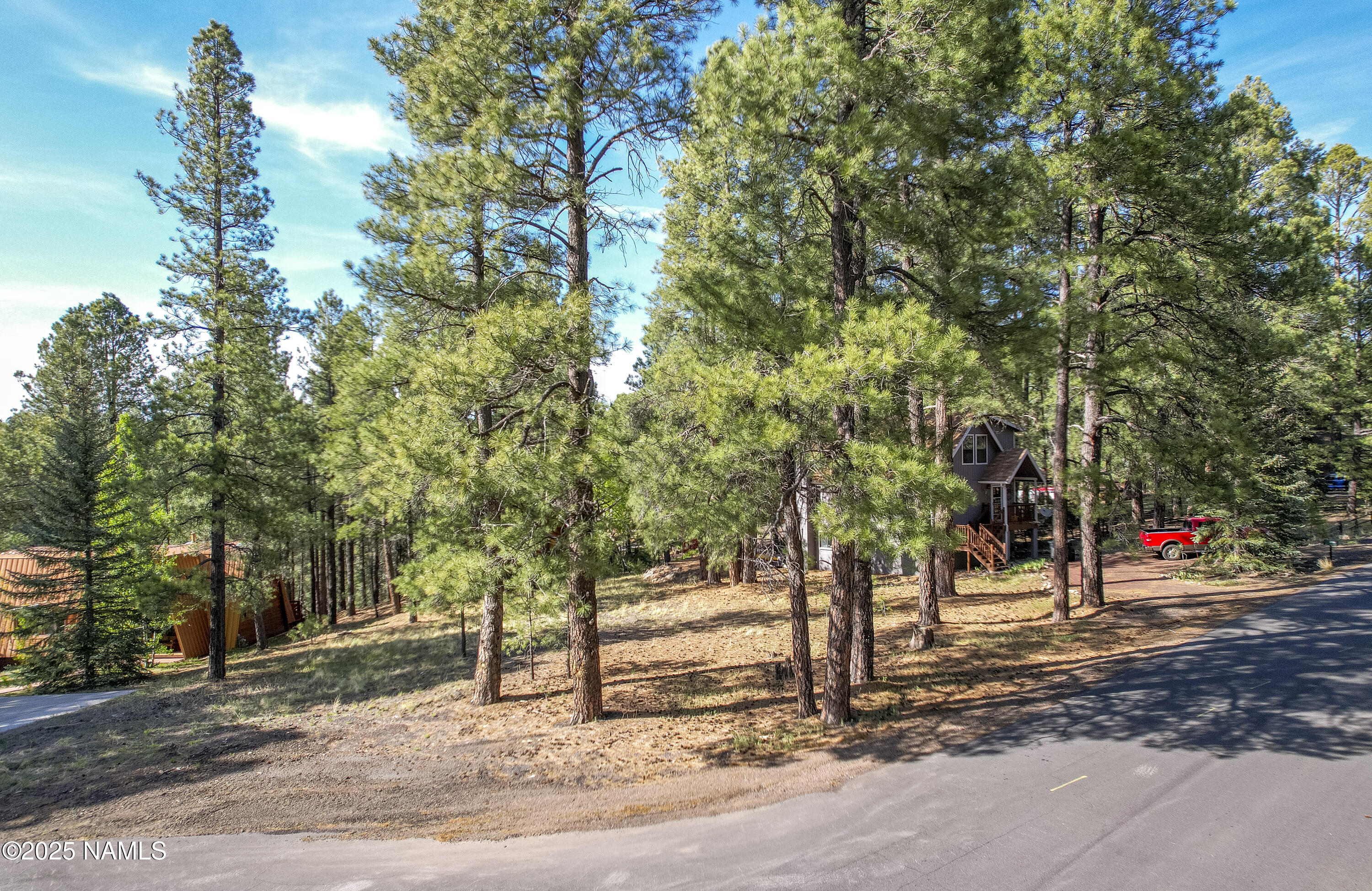 4263 Canyon Loop Flagstaff, AZ 86005 - Photo 2 of 9 a view of a park with trees