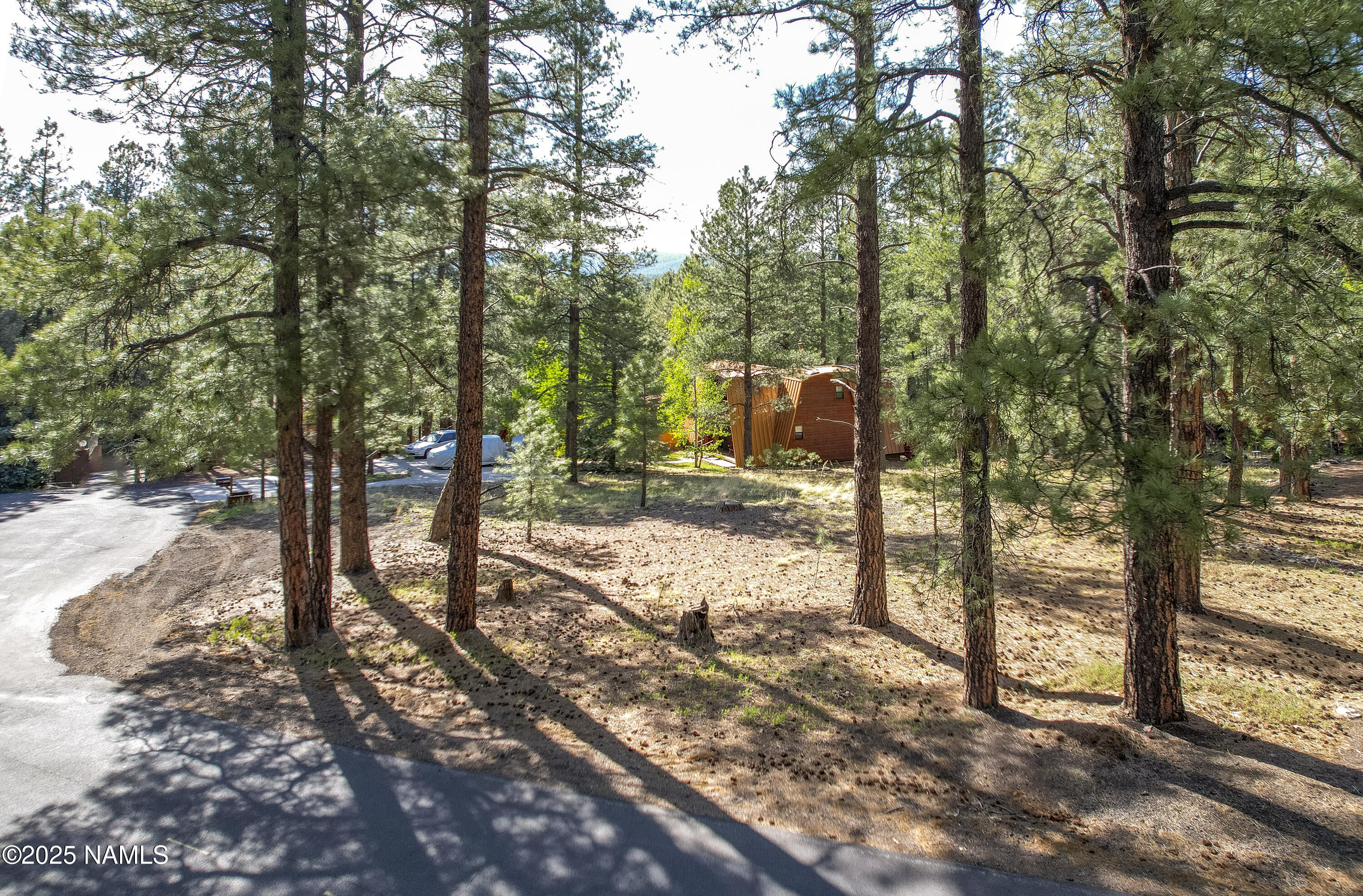4263 Canyon Loop Flagstaff, AZ 86005 - Photo 3 of 9 a view of a forest with trees