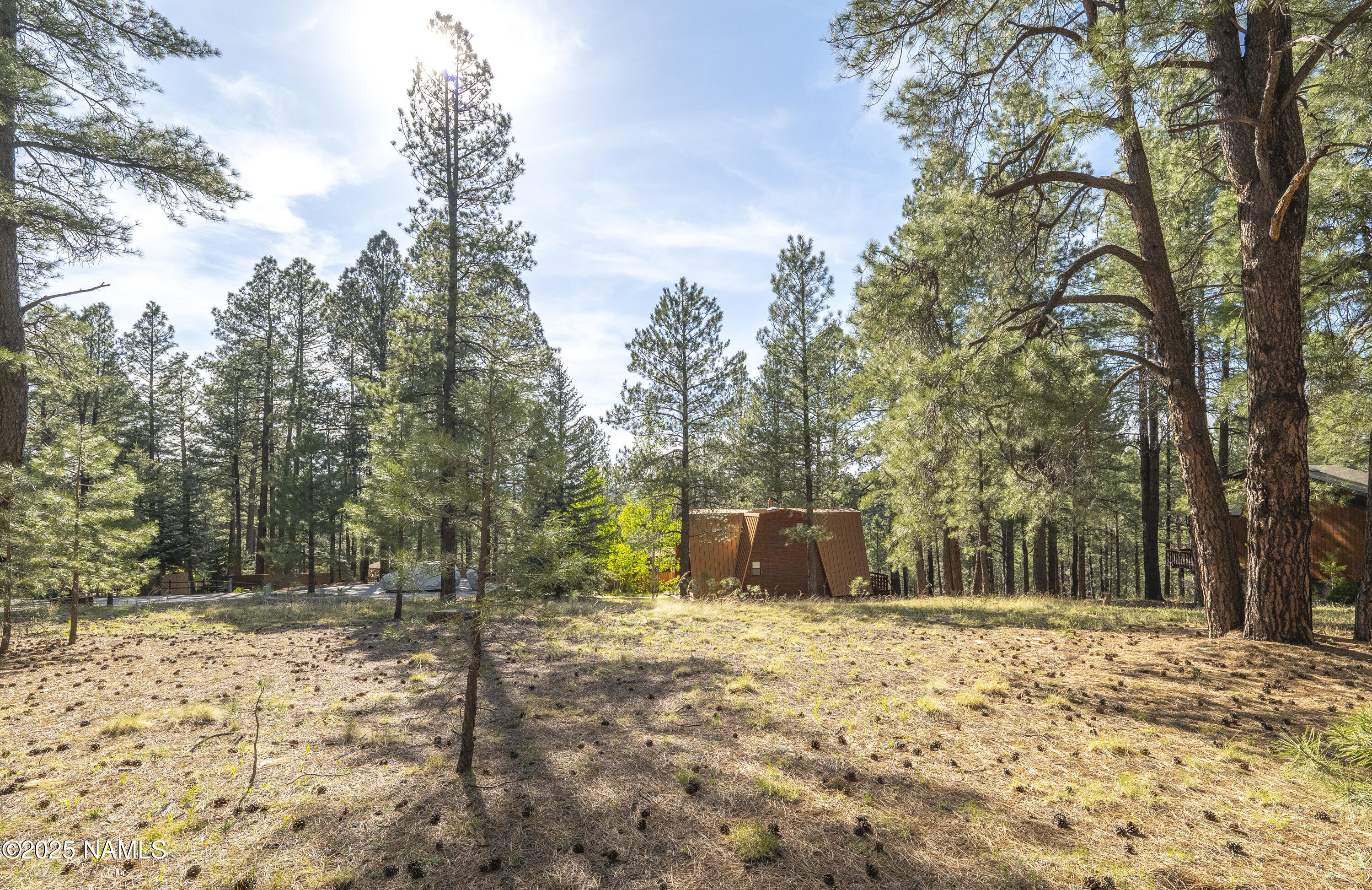 4263 Canyon Loop Flagstaff, AZ 86005 - Photo 5 of 9 a view of a yard with large trees