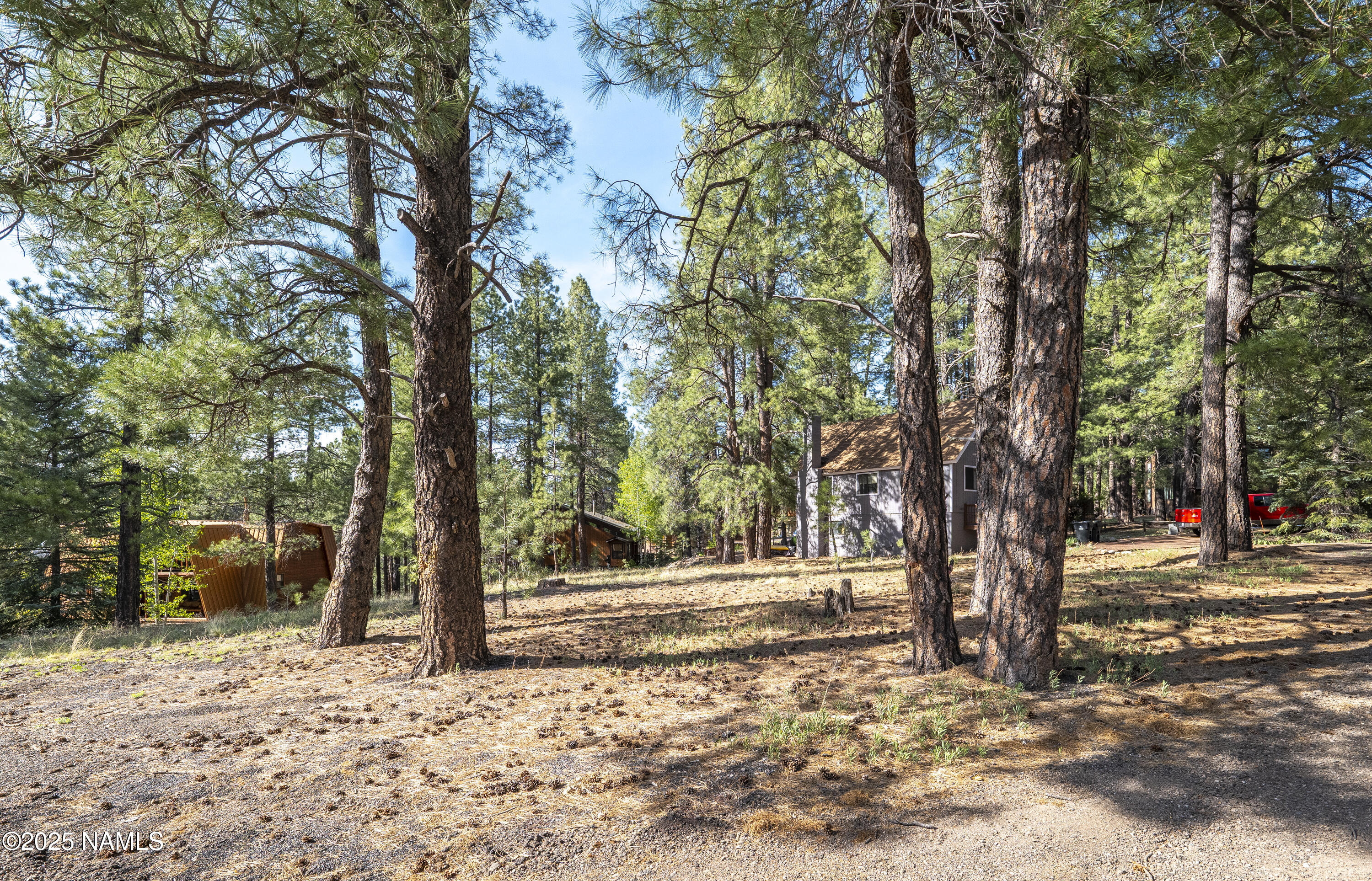 4263 Canyon Loop Flagstaff, AZ 86005 - Photo 6 of 9 a view of road with trees