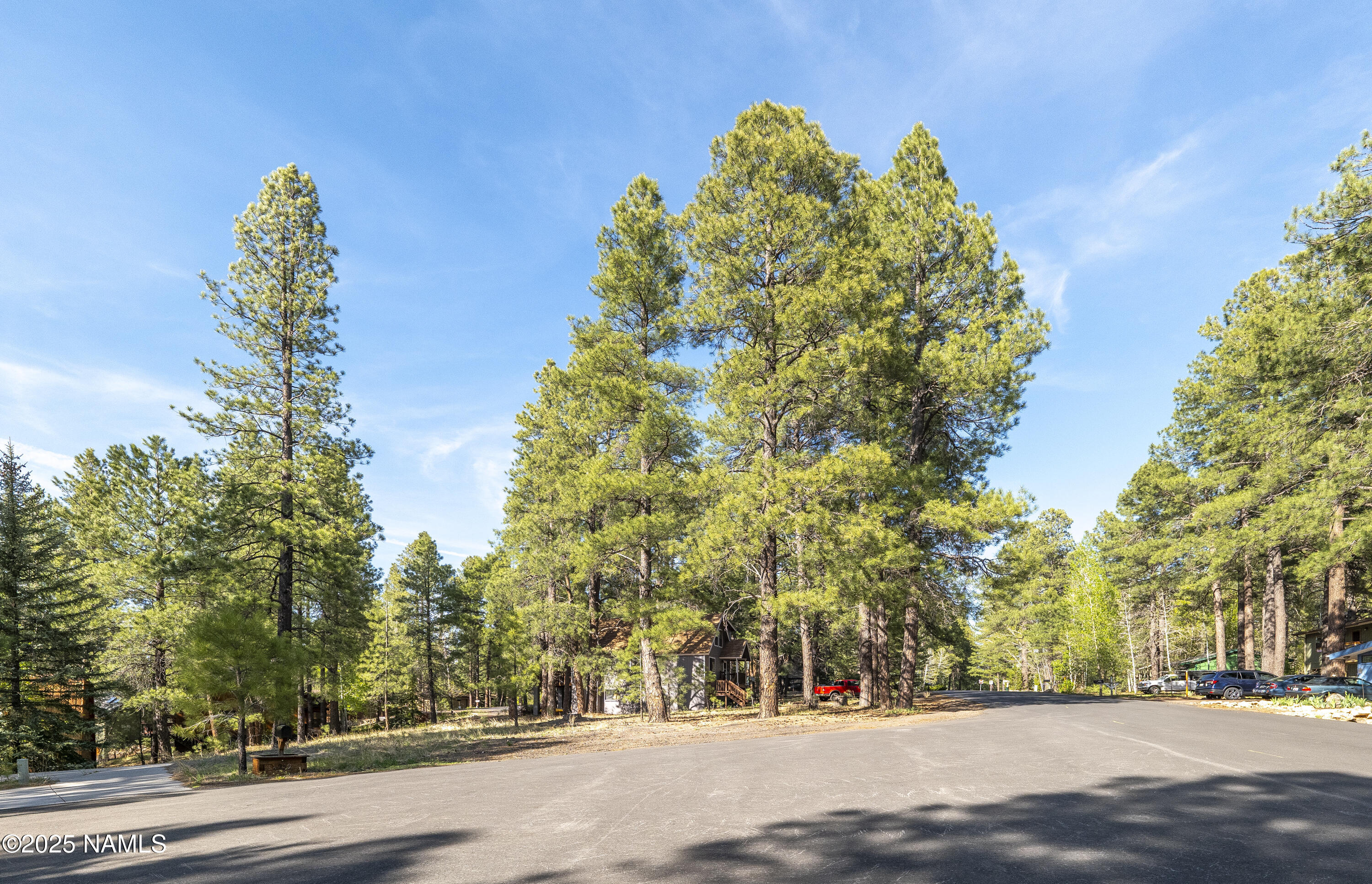 4263 Canyon Loop Flagstaff, AZ 86005 - Photo 7 of 9 a view of road with trees