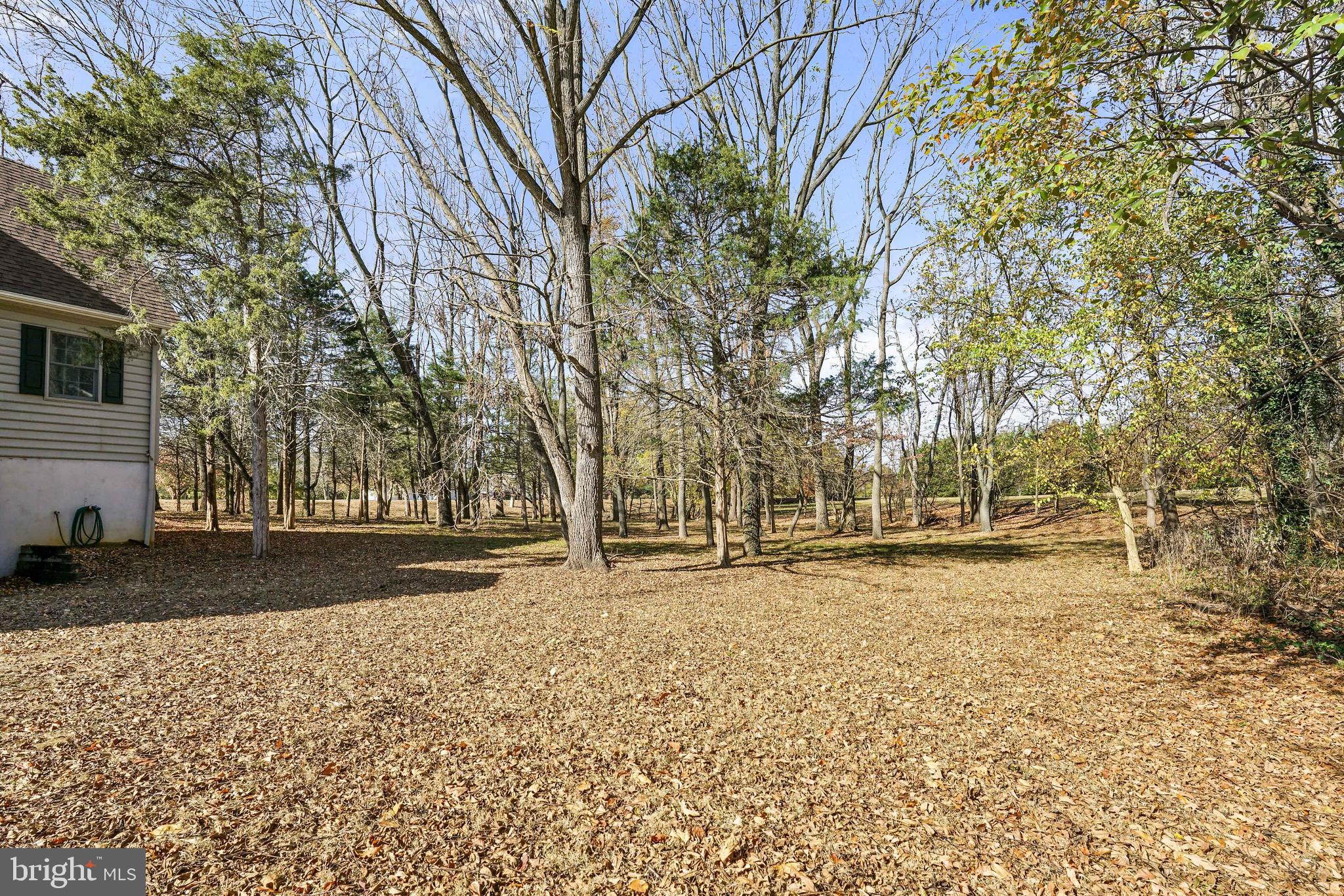 13893 Gregg Neck Road Galena, MD 21635 - Photo 35 of 38 Gallery Image 35