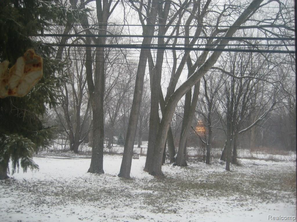 9275 Beech Daly Road Taylor, MI 48180 - Photo 24 of 30 BACK YARD TREES