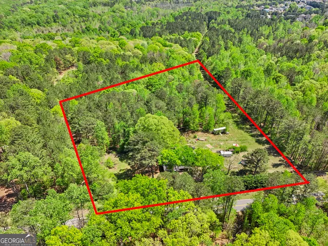 a view of a lush green forest
