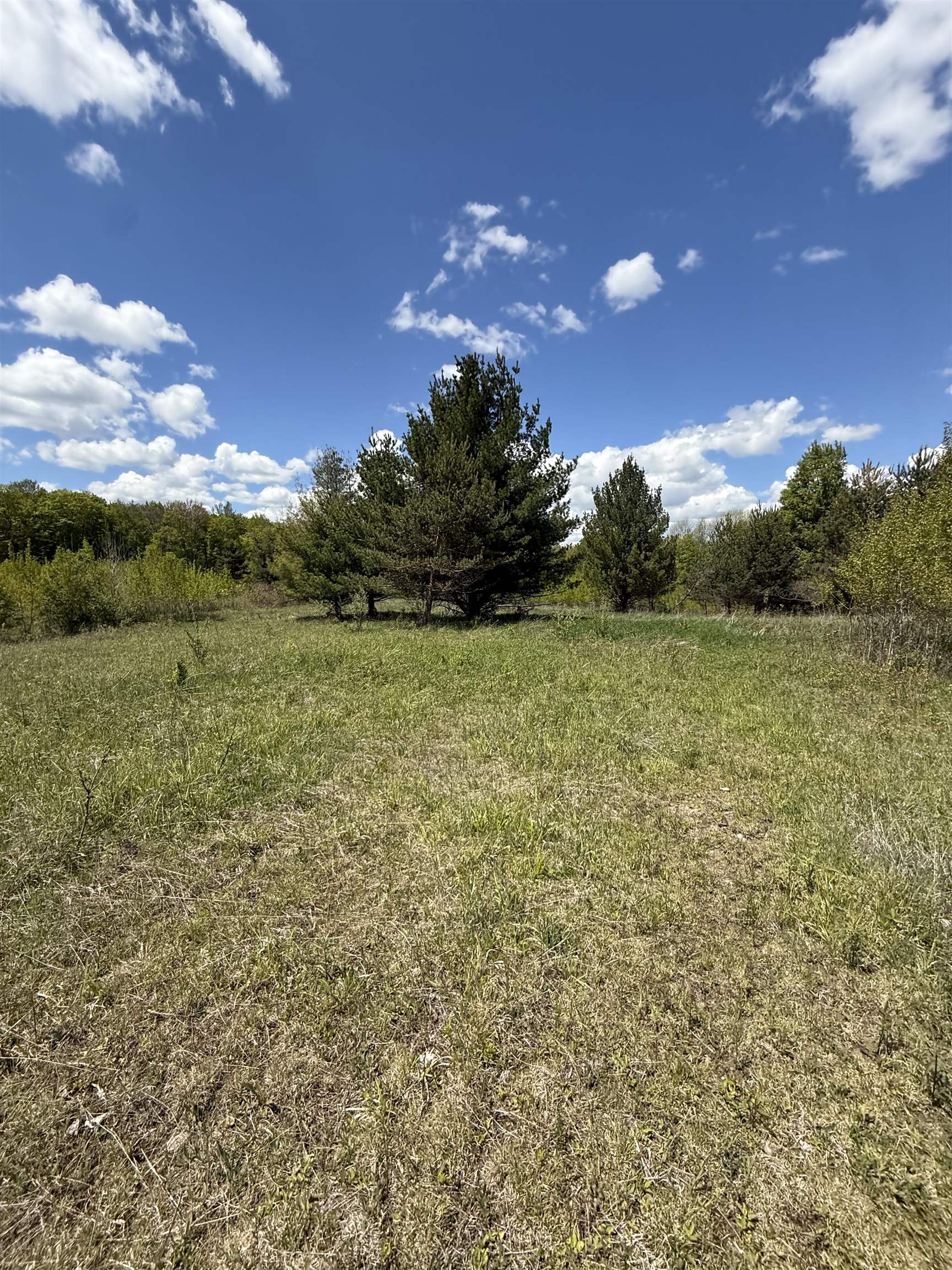 19 Mile Road Kingsley, MI 49649 - Photo 26 of 30