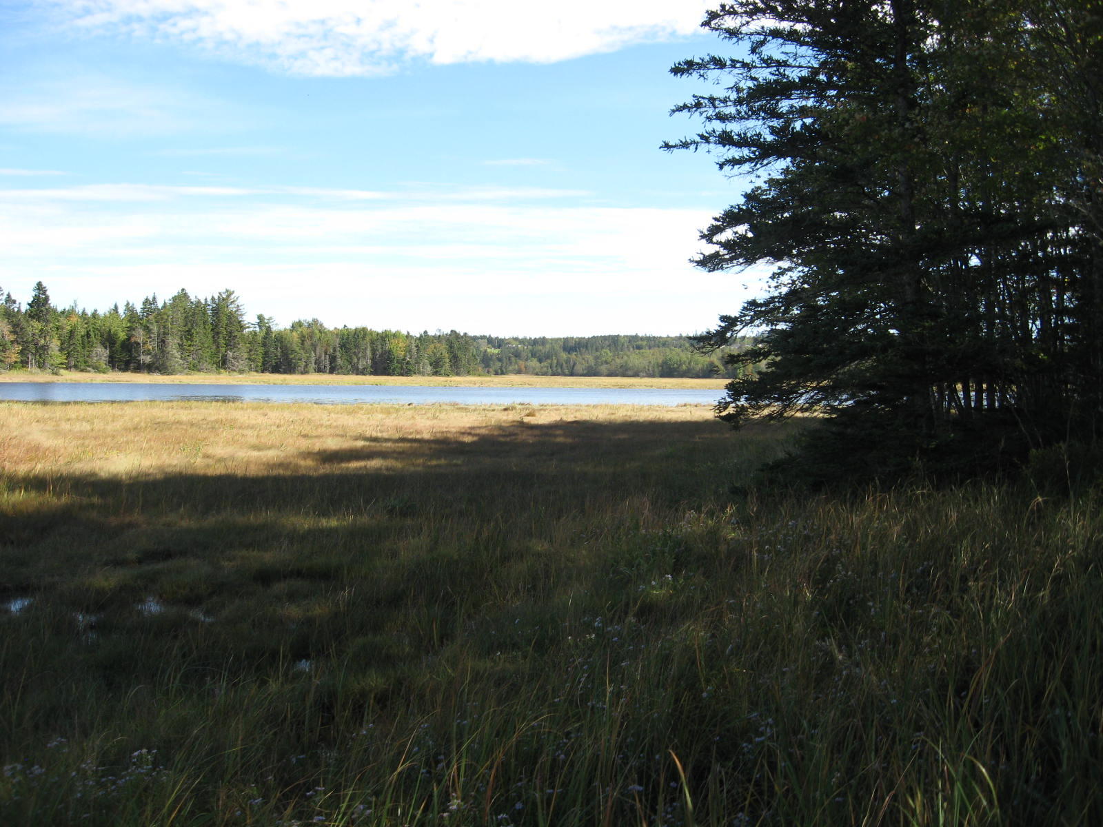0 Wescogus Road Addison, ME 04606 - Photo 12 of 17 IMG_0010