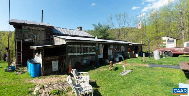 a view of a lush green space