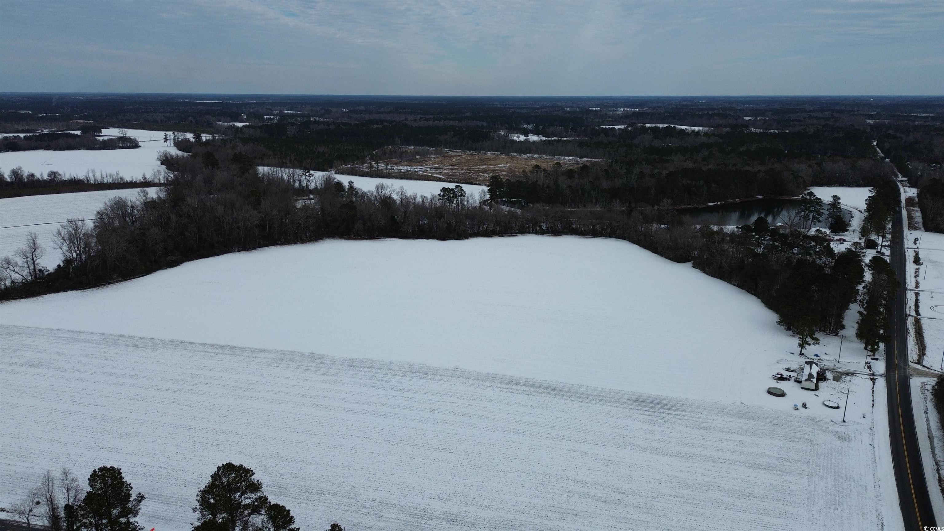 1957 Green Sea Road Green Sea, SC 29545 - Photo 3 of 11 View of snowy aerial view