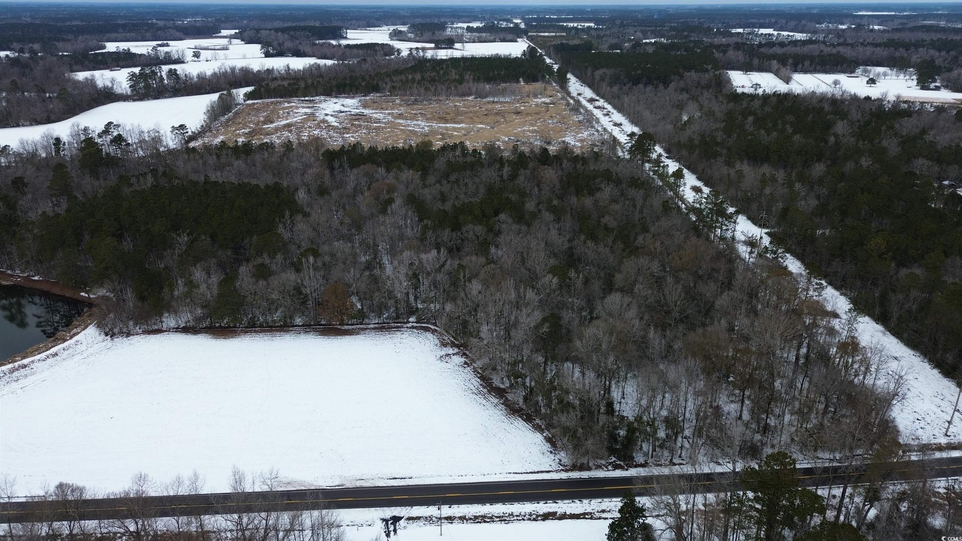 1957 Green Sea Road Green Sea, SC 29545 - Photo 5 of 11 View of snowy aerial view