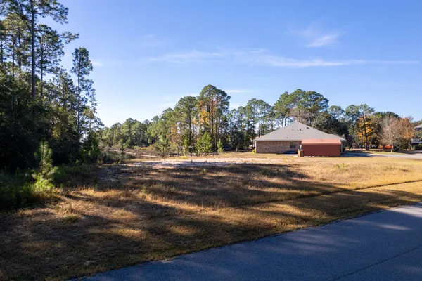 a view of backyard space and trees