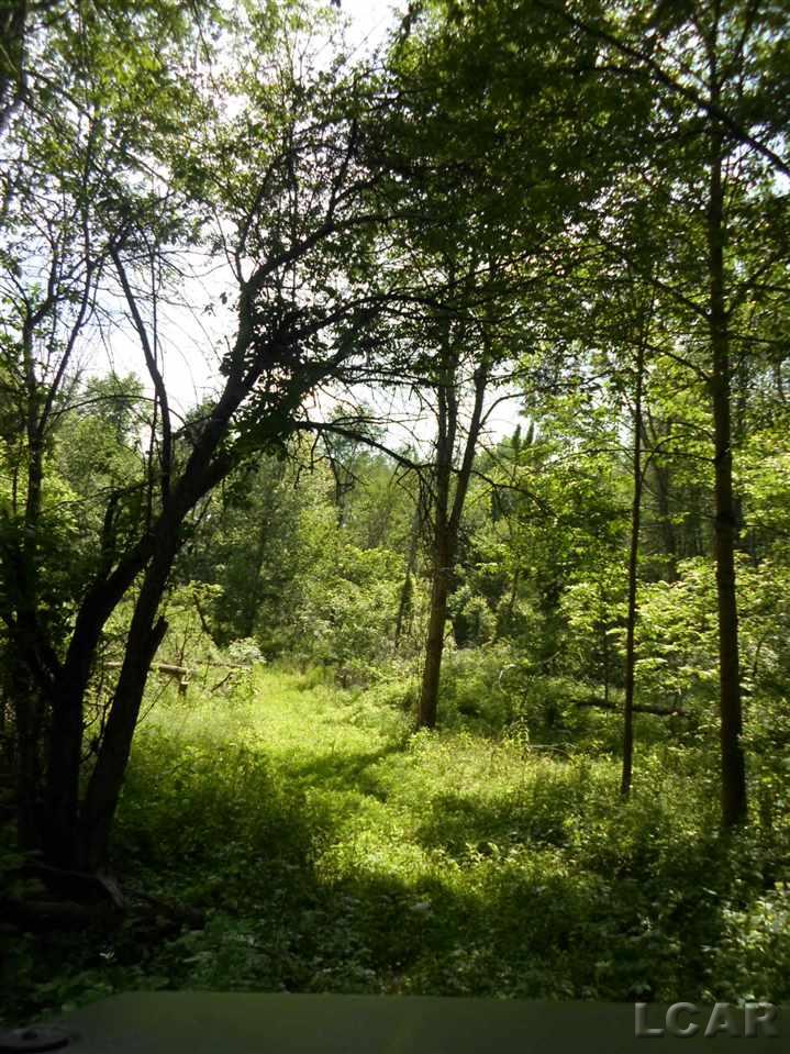 12000 Stephenson Road, Unit PARCEL A Brooklyn, MI 49230 - Photo 36 of 49