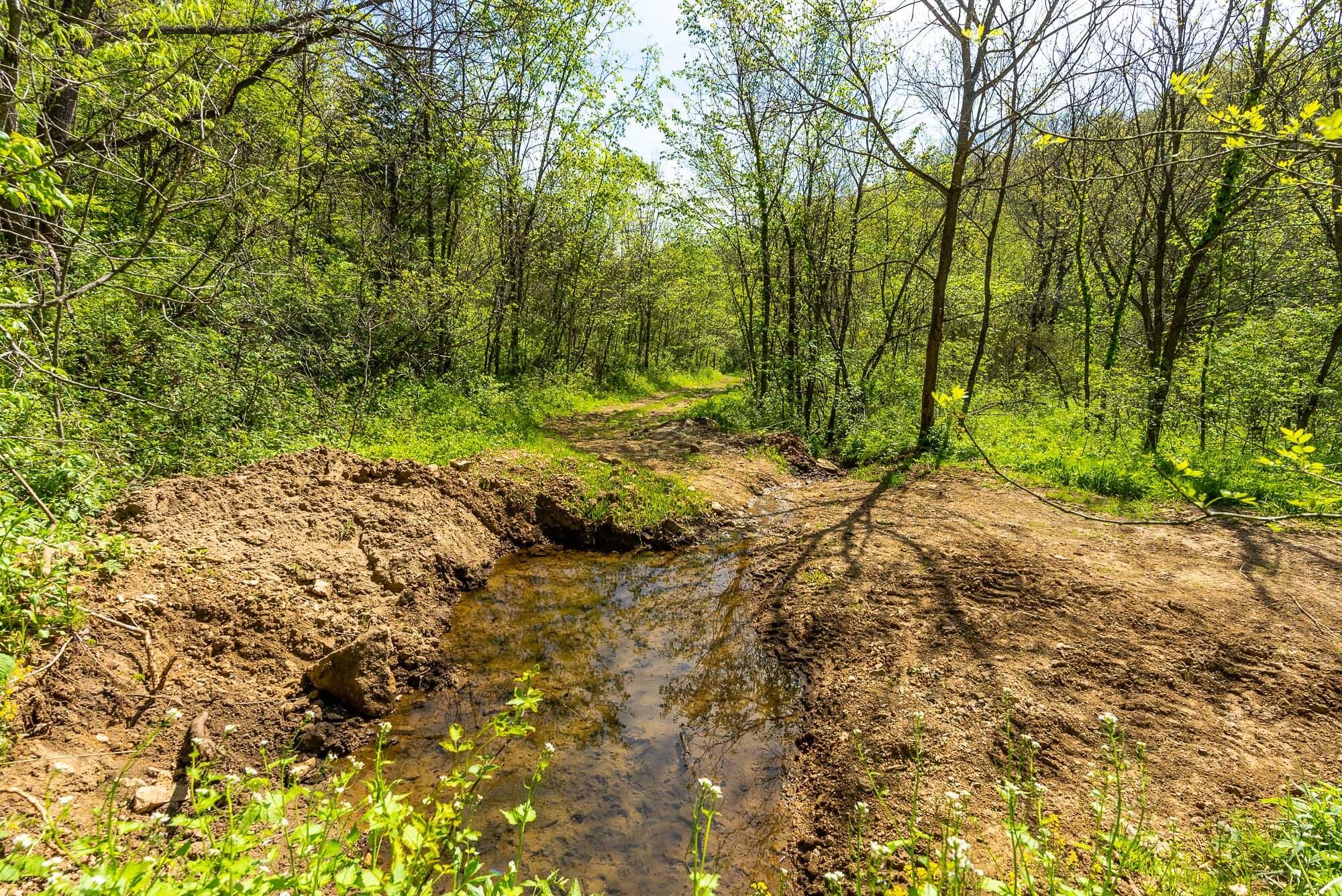 15999 Biba Road Muscoda, WI 53573 - Photo 67 of 103 Grant-County-WI-160-Acres-Land-For-Sale-