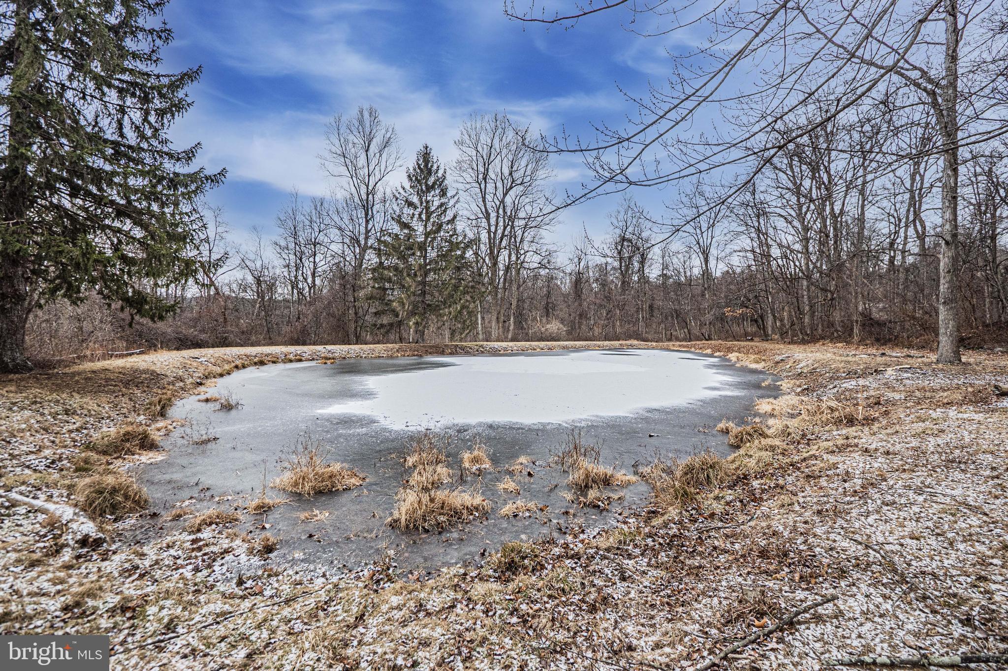 16834 Buck Lantz Road Sabillasville, MD 21780 - Photo 75 of 81