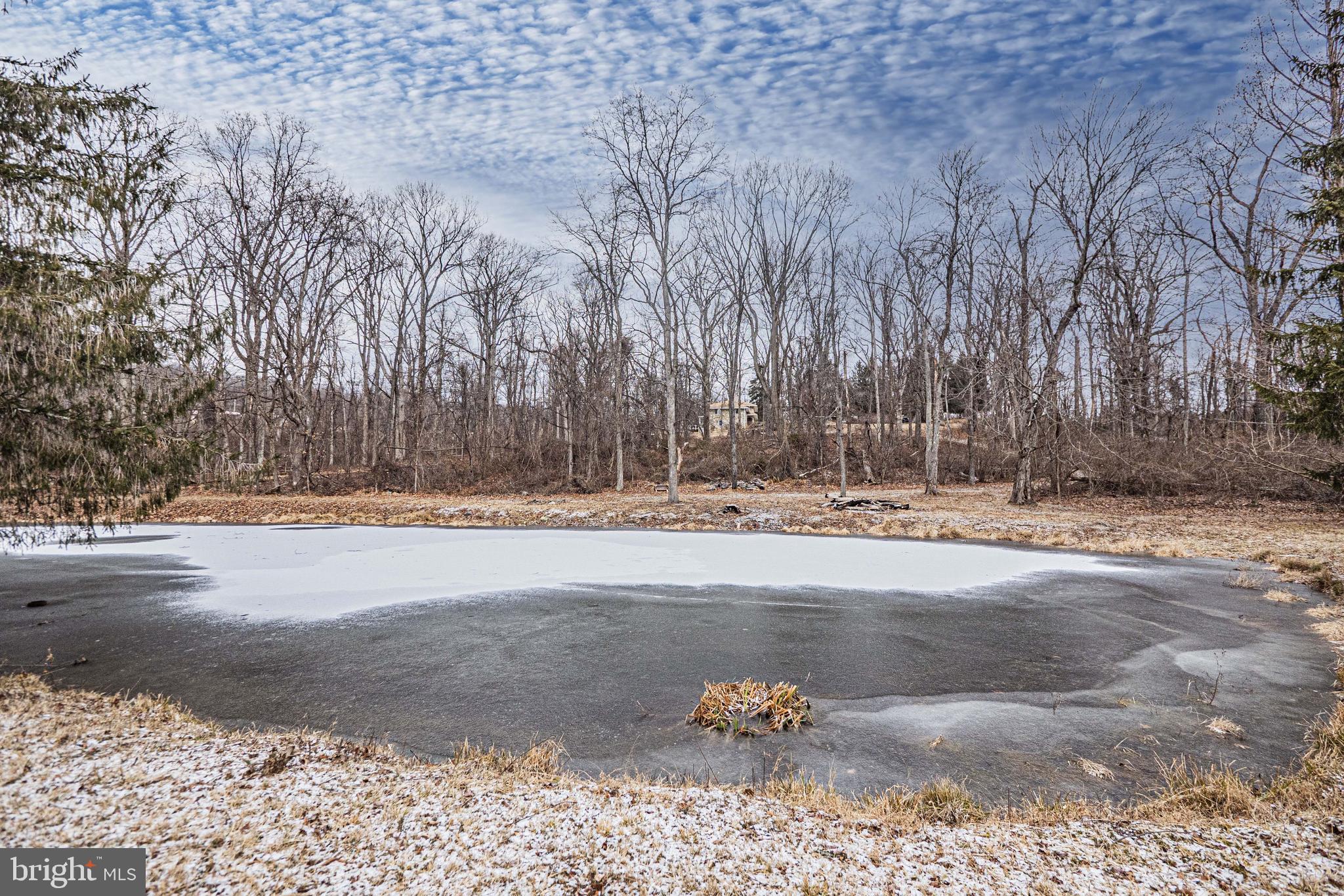 16834 Buck Lantz Road Sabillasville, MD 21780 - Photo 76 of 81