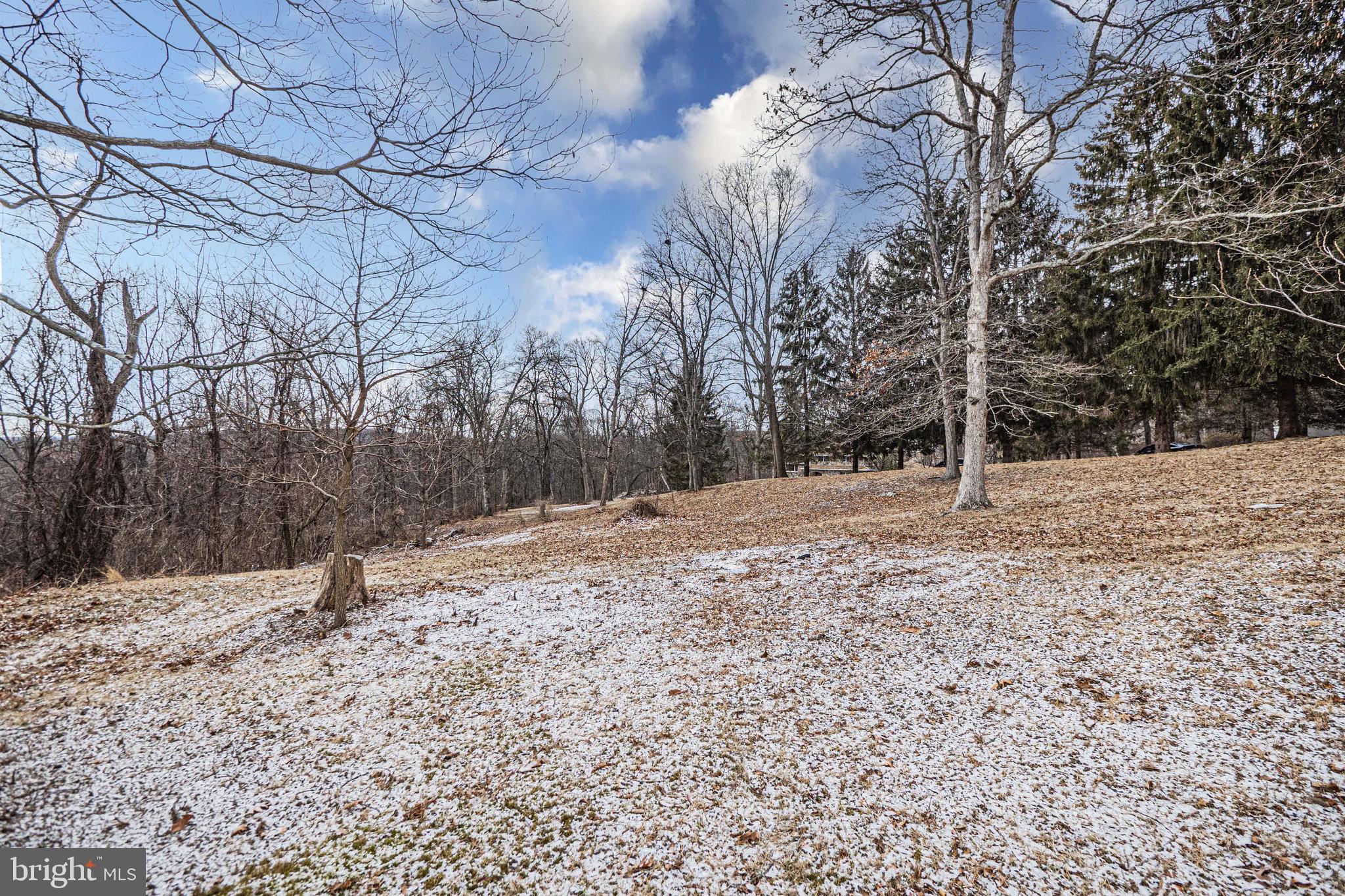 16834 Buck Lantz Road Sabillasville, MD 21780 - Photo 79 of 81