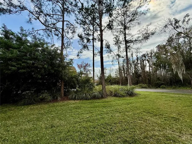 $1,850 | 29920 Playa Del Rey Lane, Wesley Chapel, FL 33543