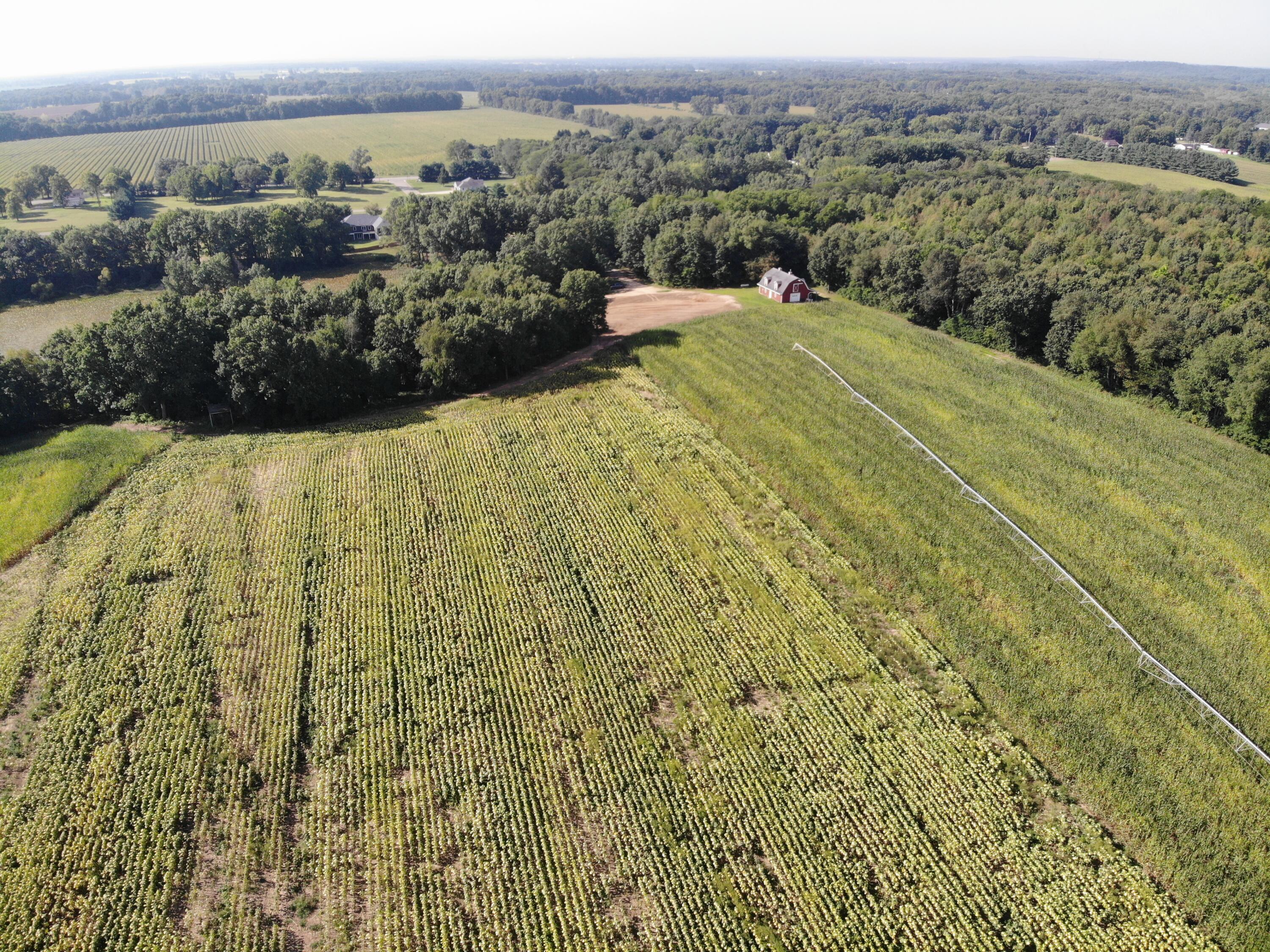 Three Rivers Mi 49093 Drive Three Rivers, MI 49093 - Photo 1 of 11 DJI_0608