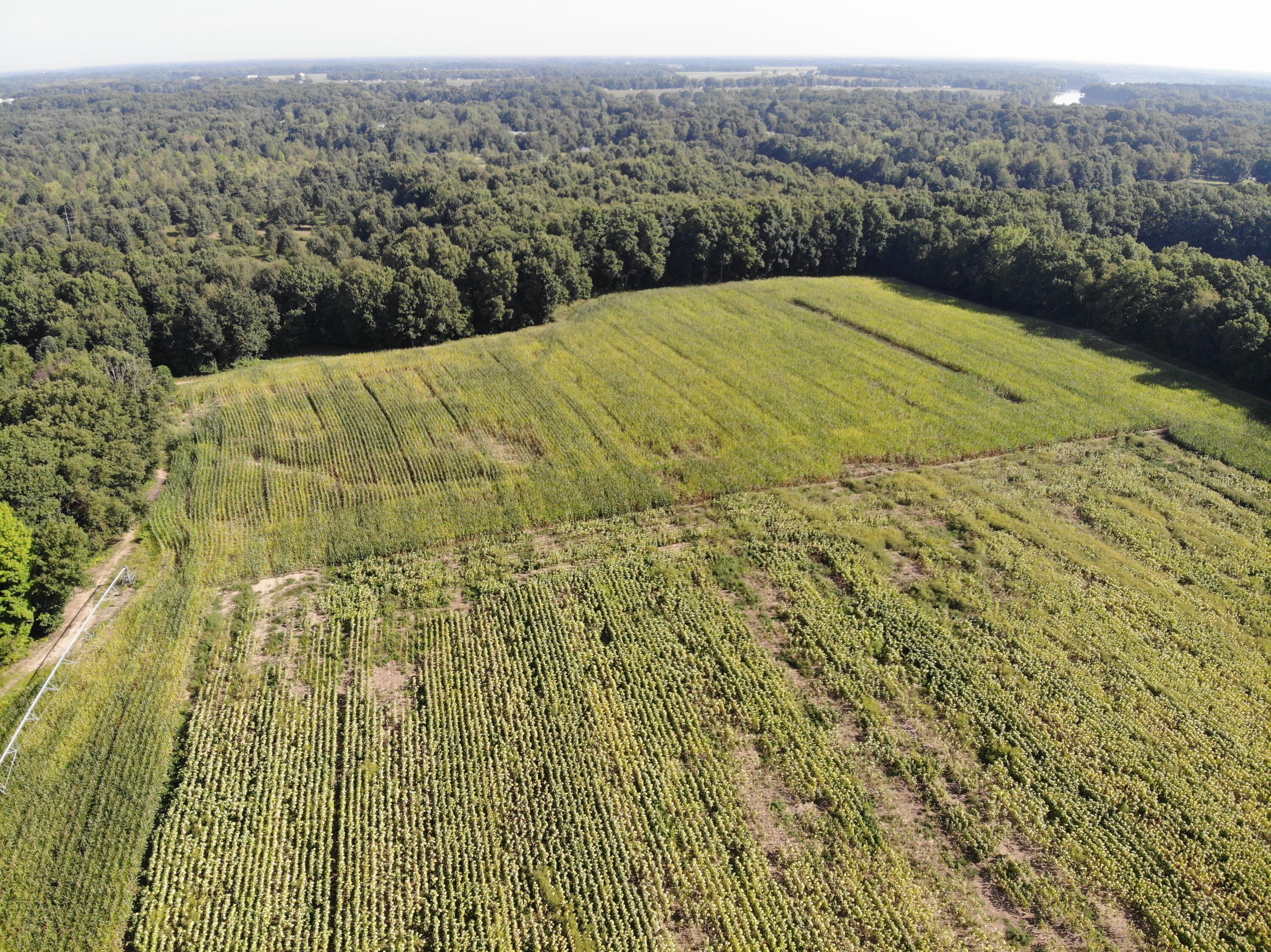 Three Rivers Mi 49093 Drive Three Rivers, MI 49093 - Photo 3 of 11 DJI_0606