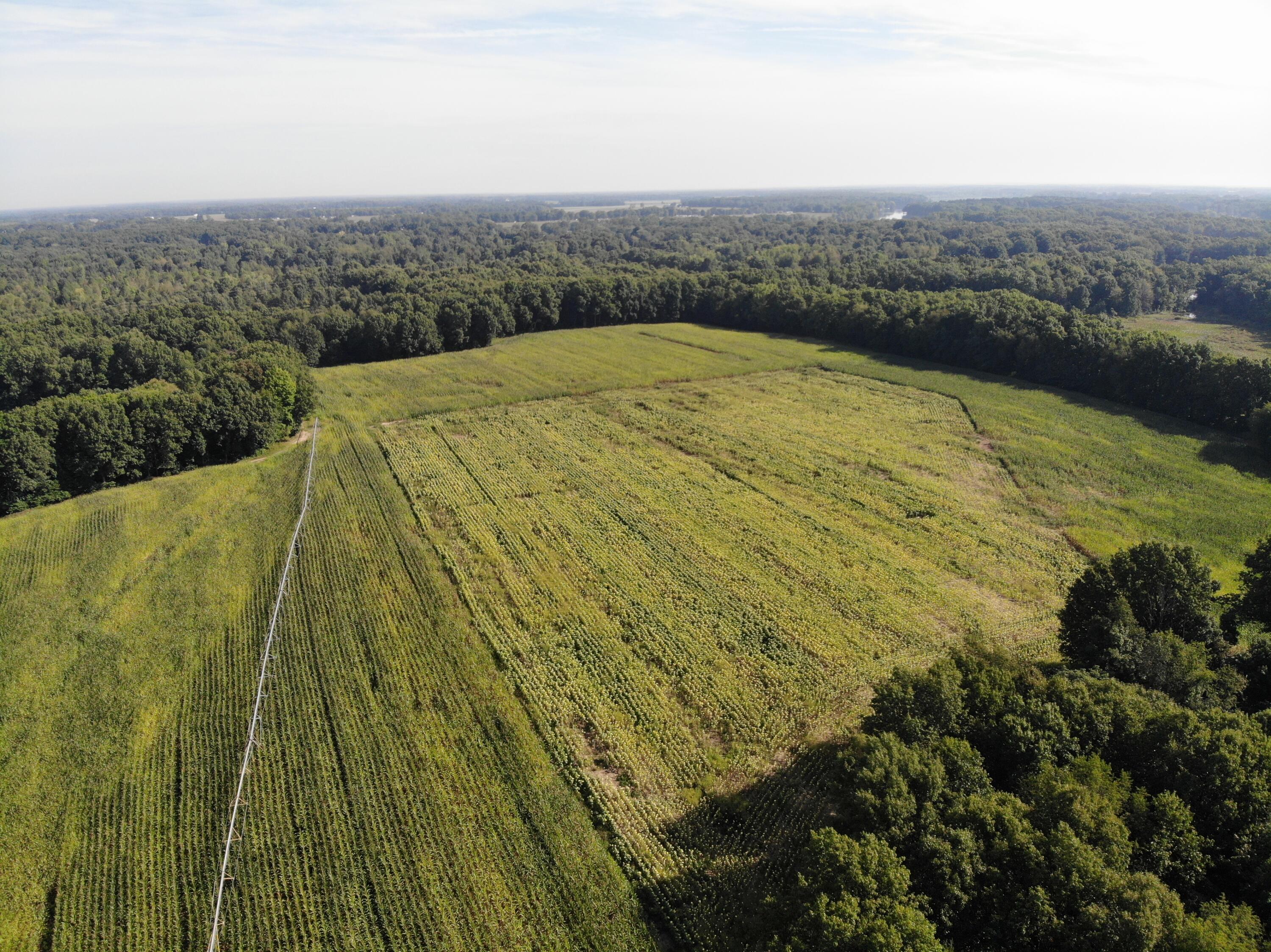 Three Rivers Mi 49093 Drive Three Rivers, MI 49093 - Photo 6 of 11 DJI_0603