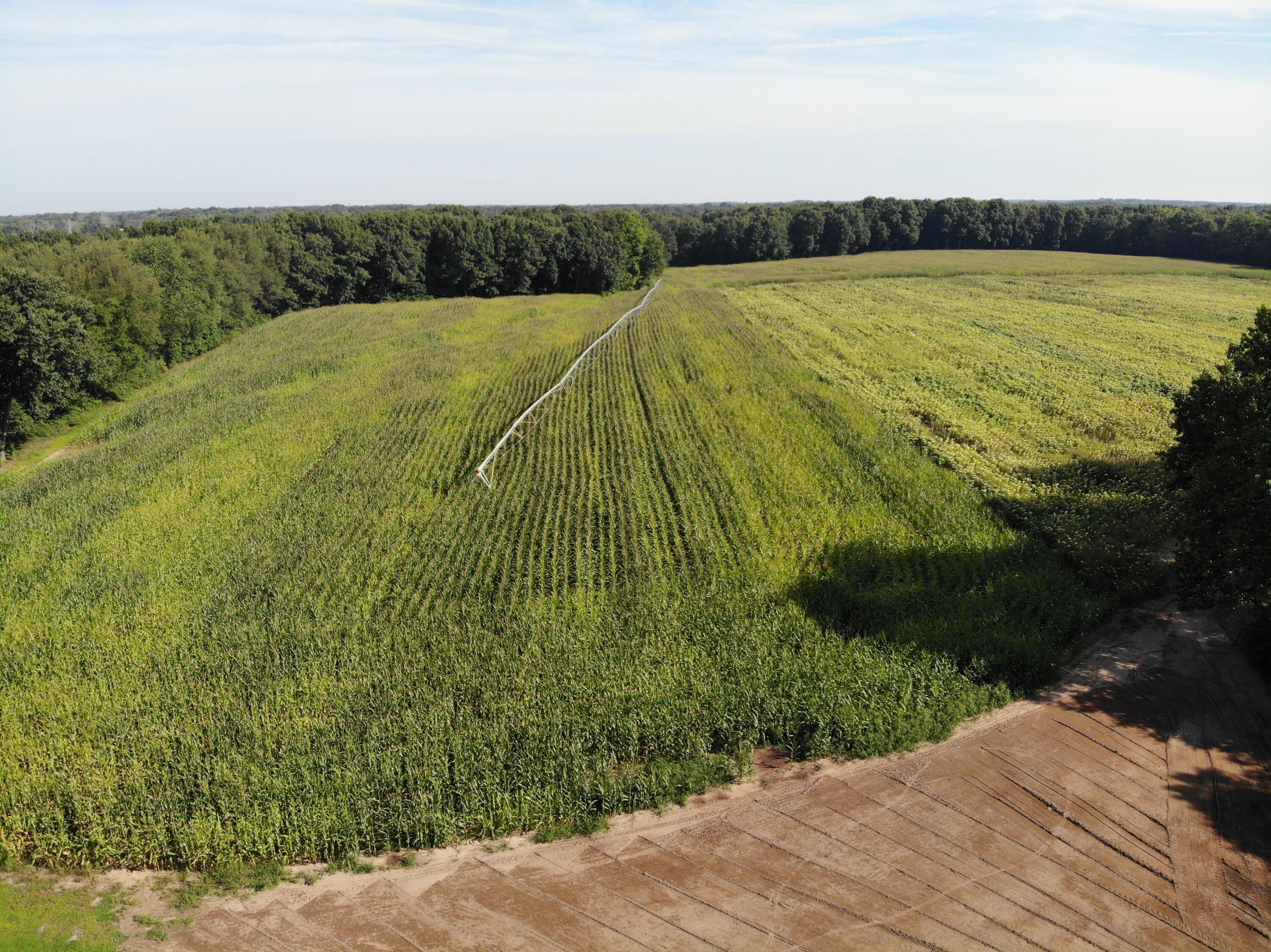 Three Rivers Mi 49093 Drive Three Rivers, MI 49093 - Photo 7 of 11 DJI_0602