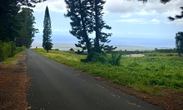 a view of a road with a yard