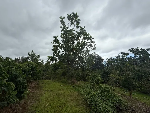 a map view of location