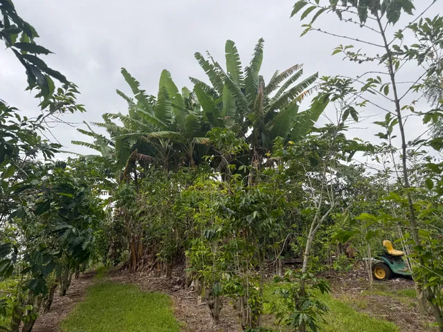a backyard of a house with barbeque oven and outdoor seating