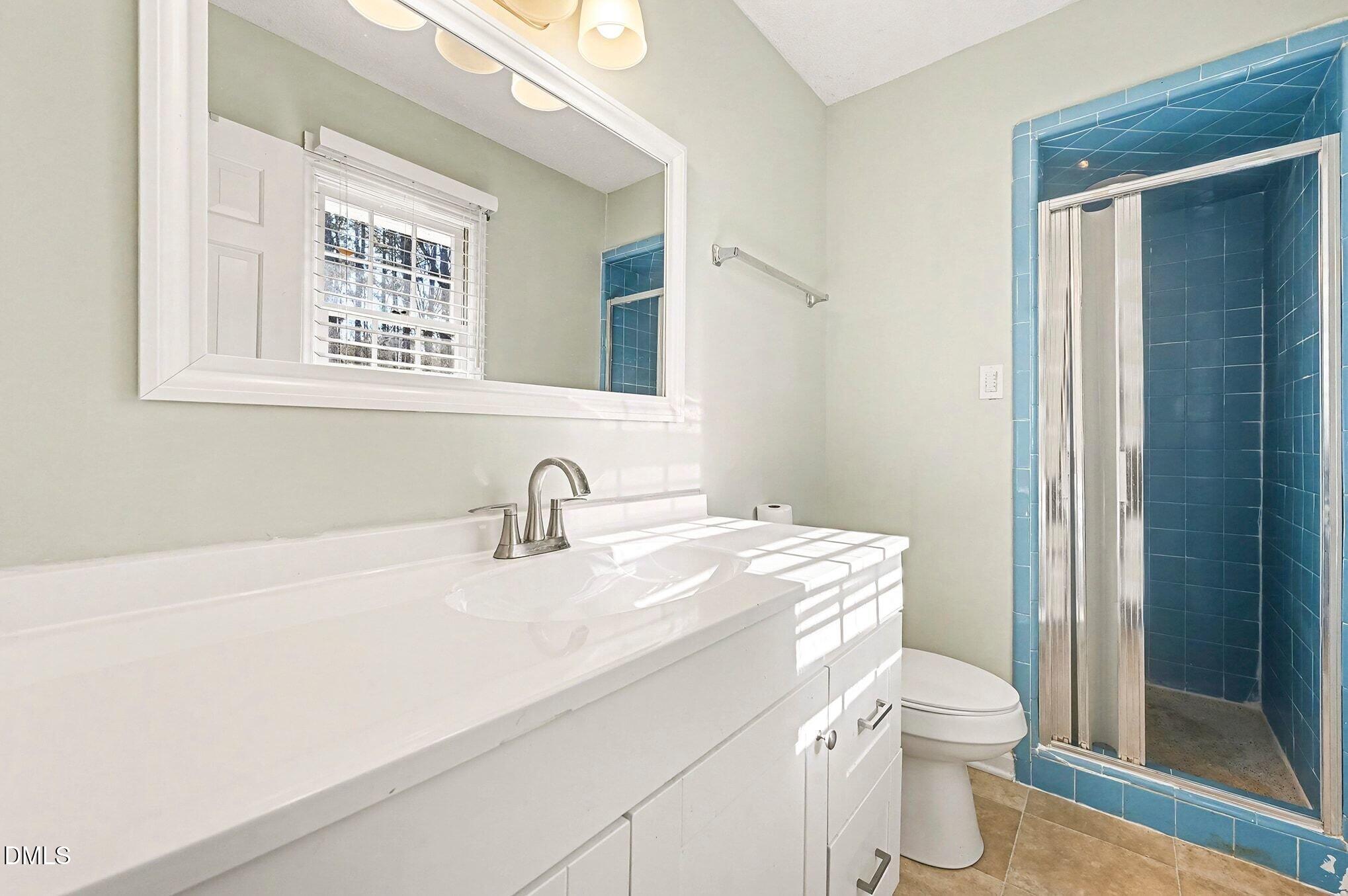 1920 White Plains Road Chapel Hill, NC 27517 - Photo 22 of 31 a bathroom with a sink a toilet and a mirror