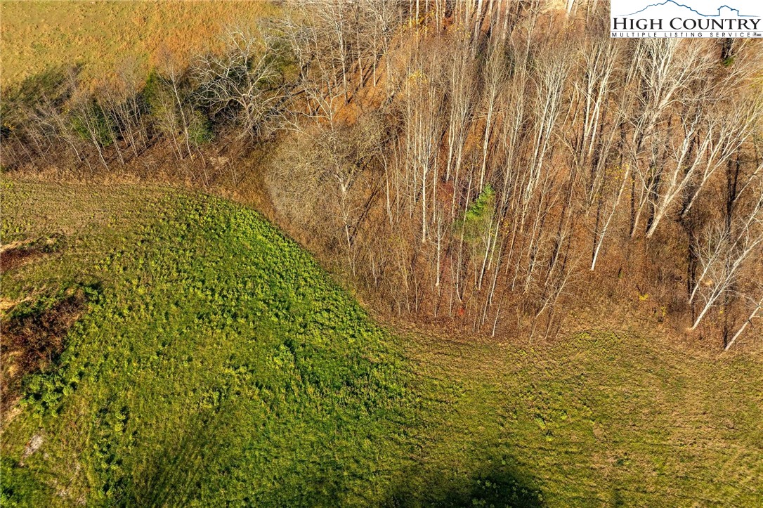 Lot 18 Silver Oak Road Butler, TN 37640 - Photo 15 of 42