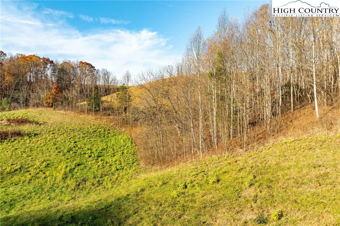Lot 18 Silver Oak Road Butler, TN 37640 - Photo 19 of 42