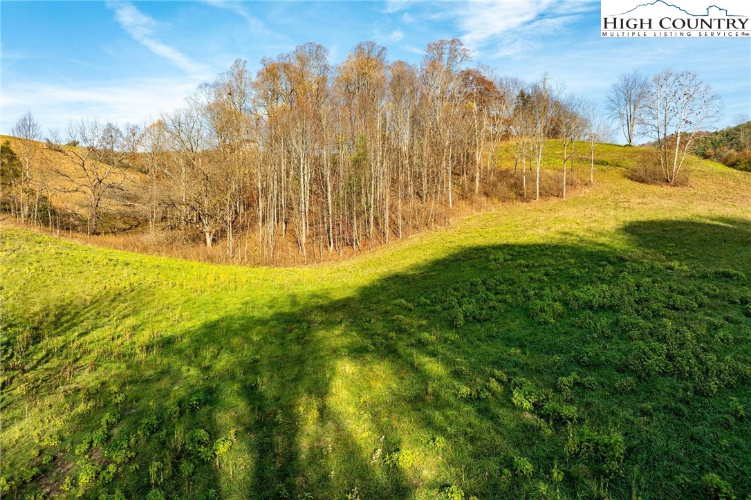 Lot 18 Silver Oak Road Butler, TN 37640 - Photo 2 of 42 a view of yard with swimming pool