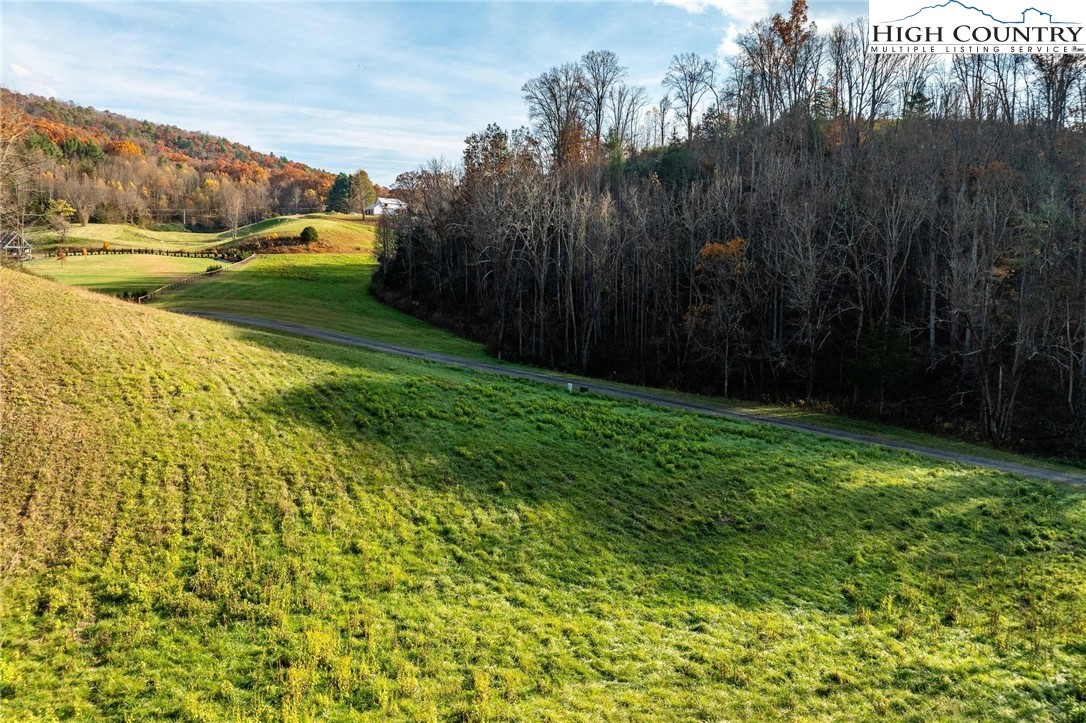 Lot 18 Silver Oak Road Butler, TN 37640 - Photo 21 of 42 a view of an outdoor space and a yard