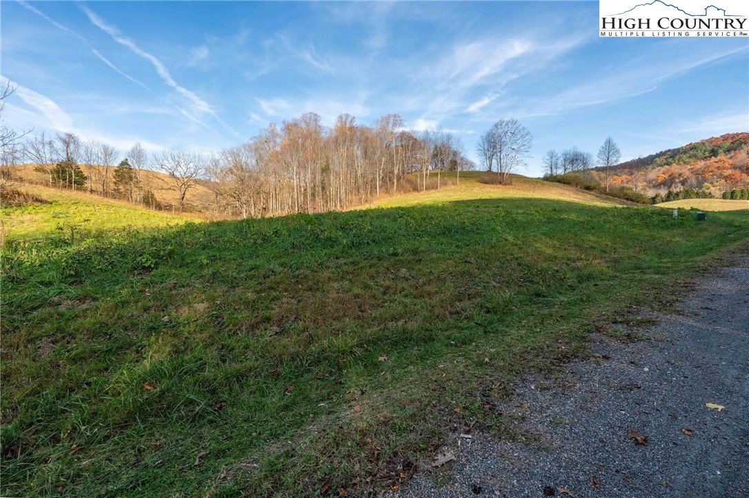 Lot 18 Silver Oak Road Butler, TN 37640 - Photo 24 of 42 a view of yard with large trees
