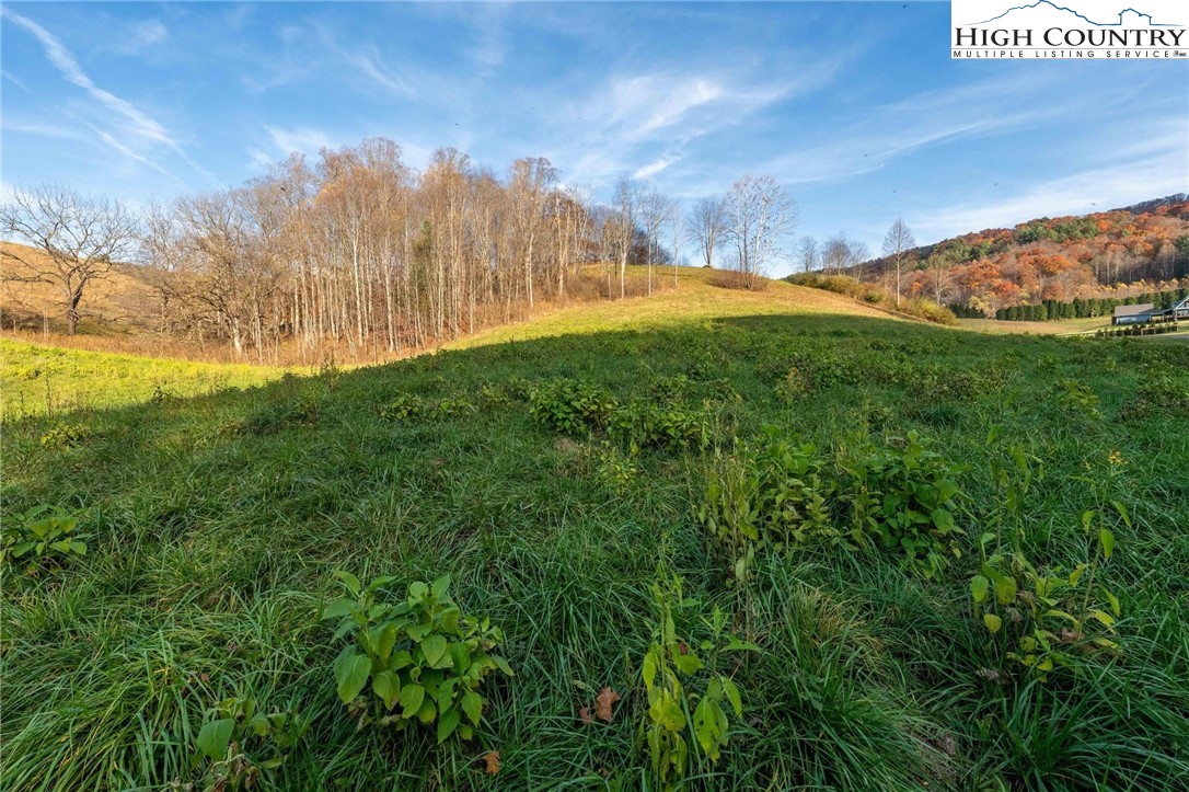 Lot 18 Silver Oak Road Butler, TN 37640 - Photo 25 of 42 a view of an outdoor space and a yard